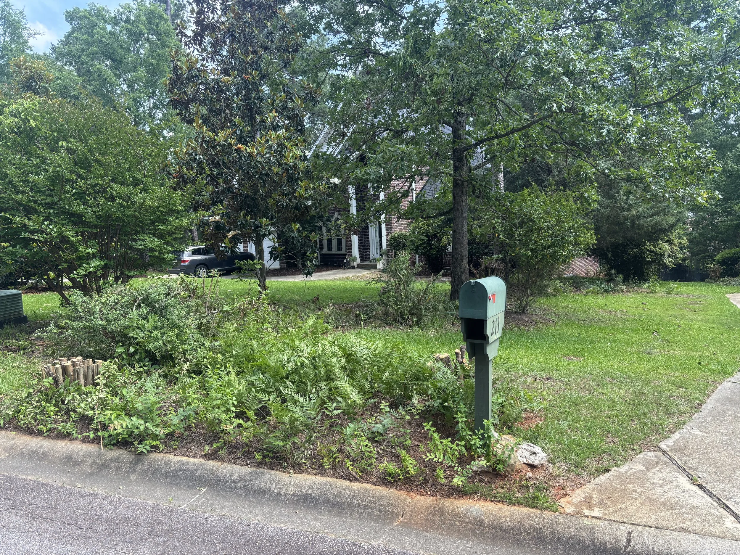 A residential street scene with a house partly obscured by tall trees and bushes, a mailbox near the sidewalk, and a parked car visible behind the foliage.