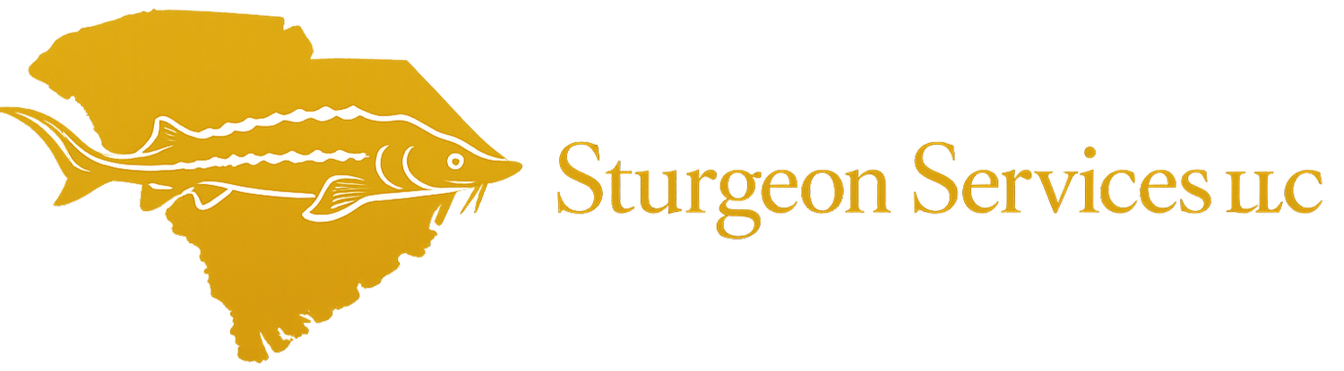 Sturgeon Services LLC