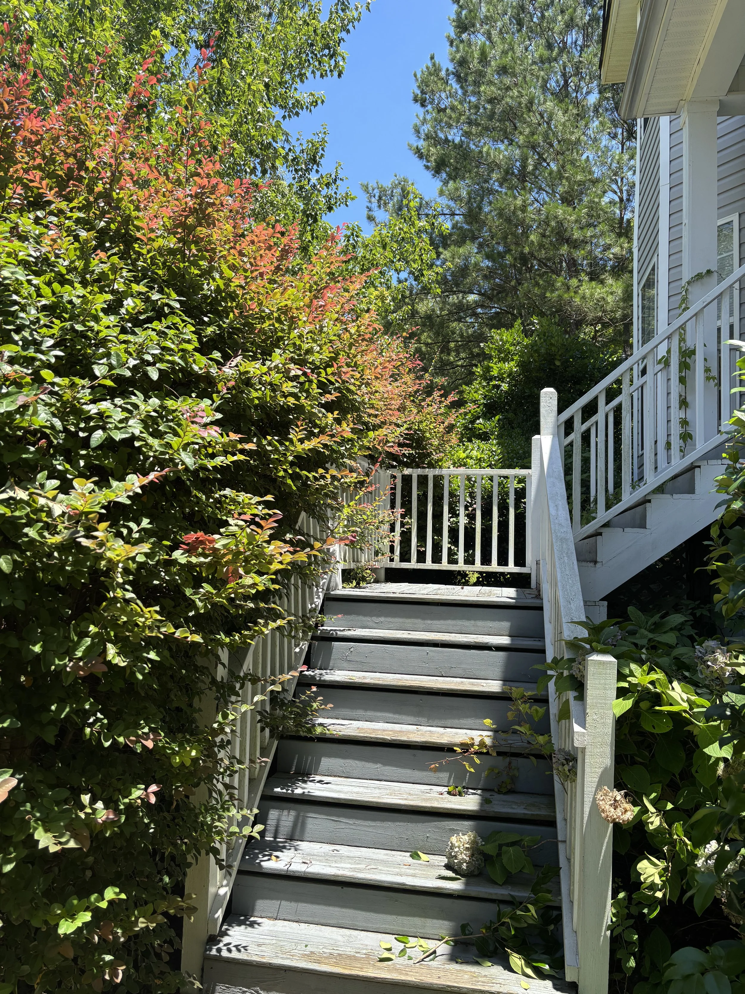 A wooden staircase leading up to a porch, surrounded by lush green and reddish foliage, with a blue sky in the background.