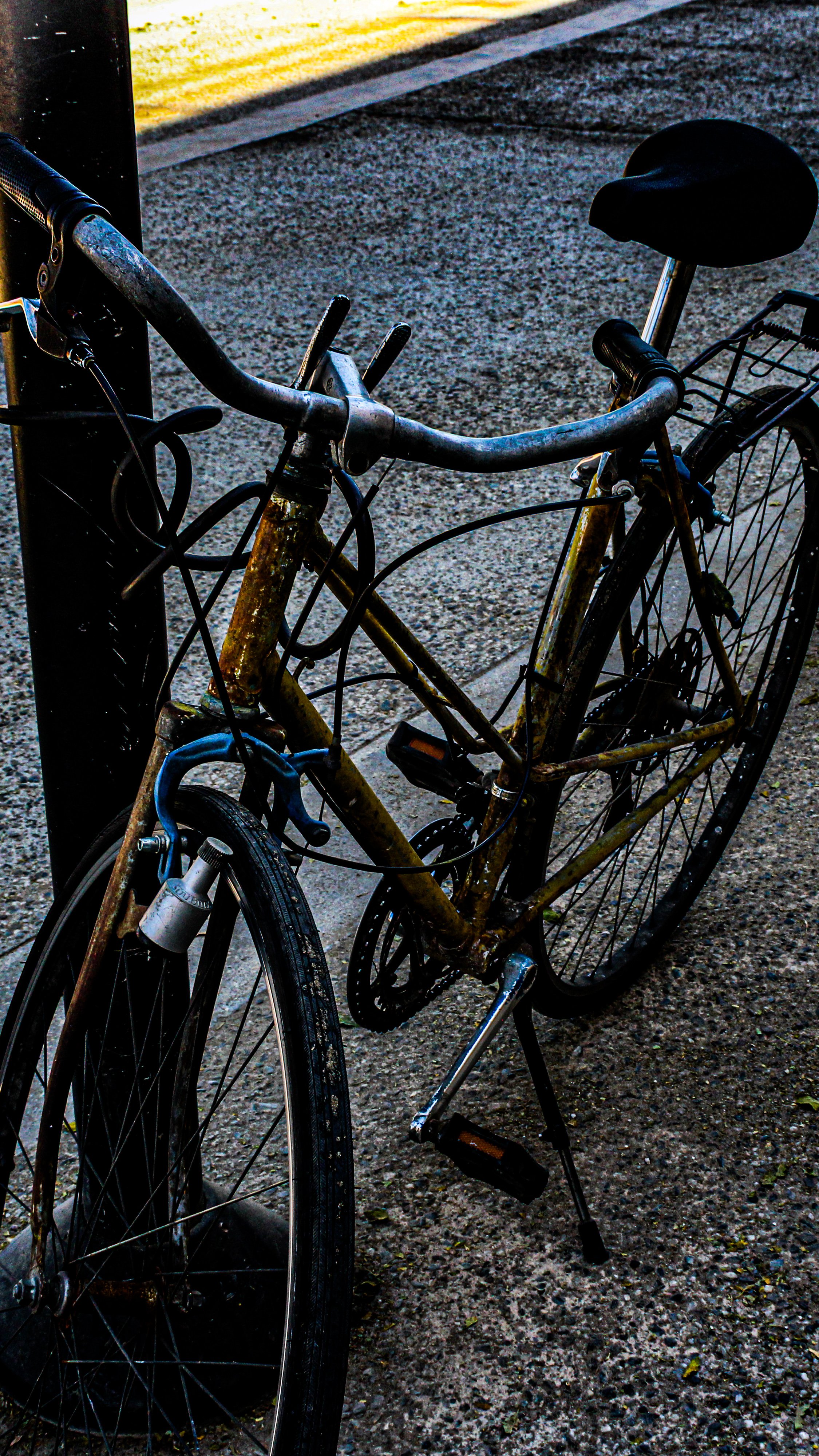 Rusty bicycle locked to a metal post on a sidewalk, with a saddle and front wheel visible, and a grassy area in the background.