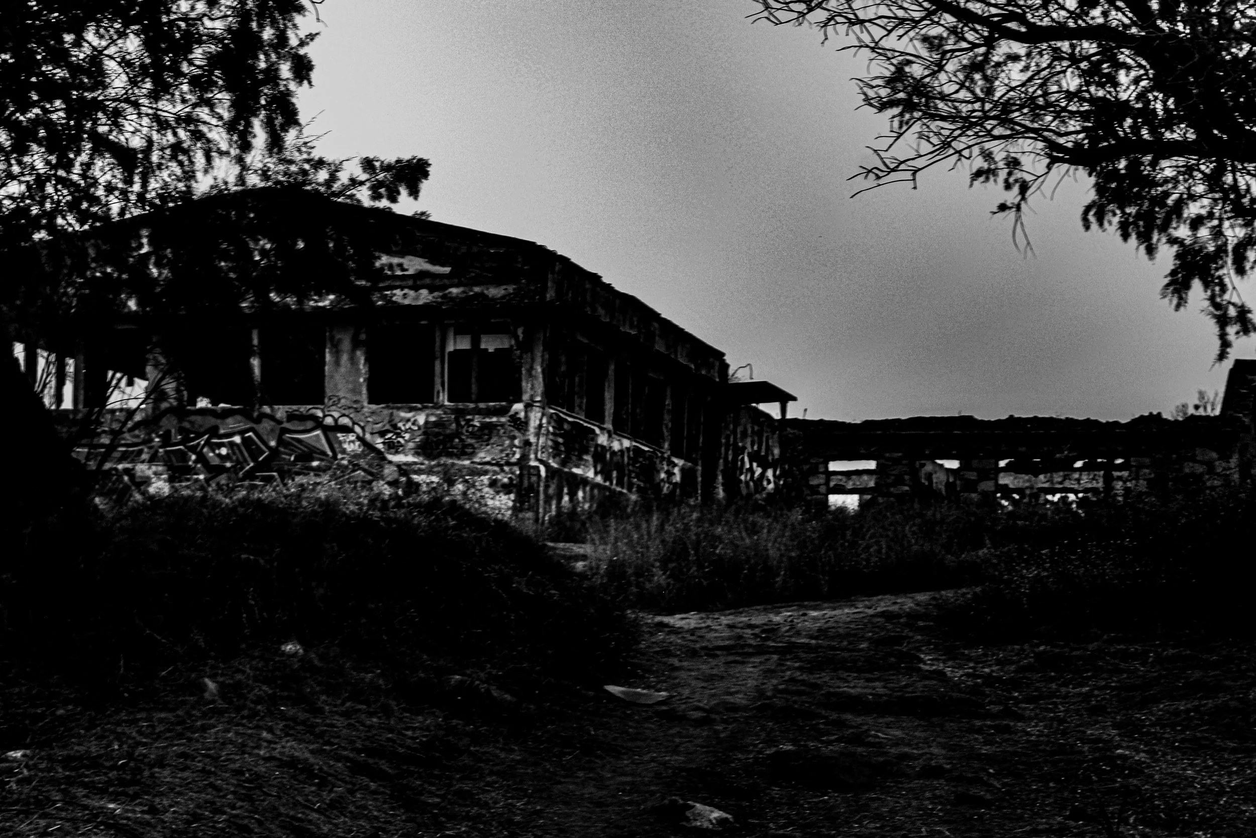 Black and white photo of abandoned, dilapidated house partially covered by trees and overgrown grass.