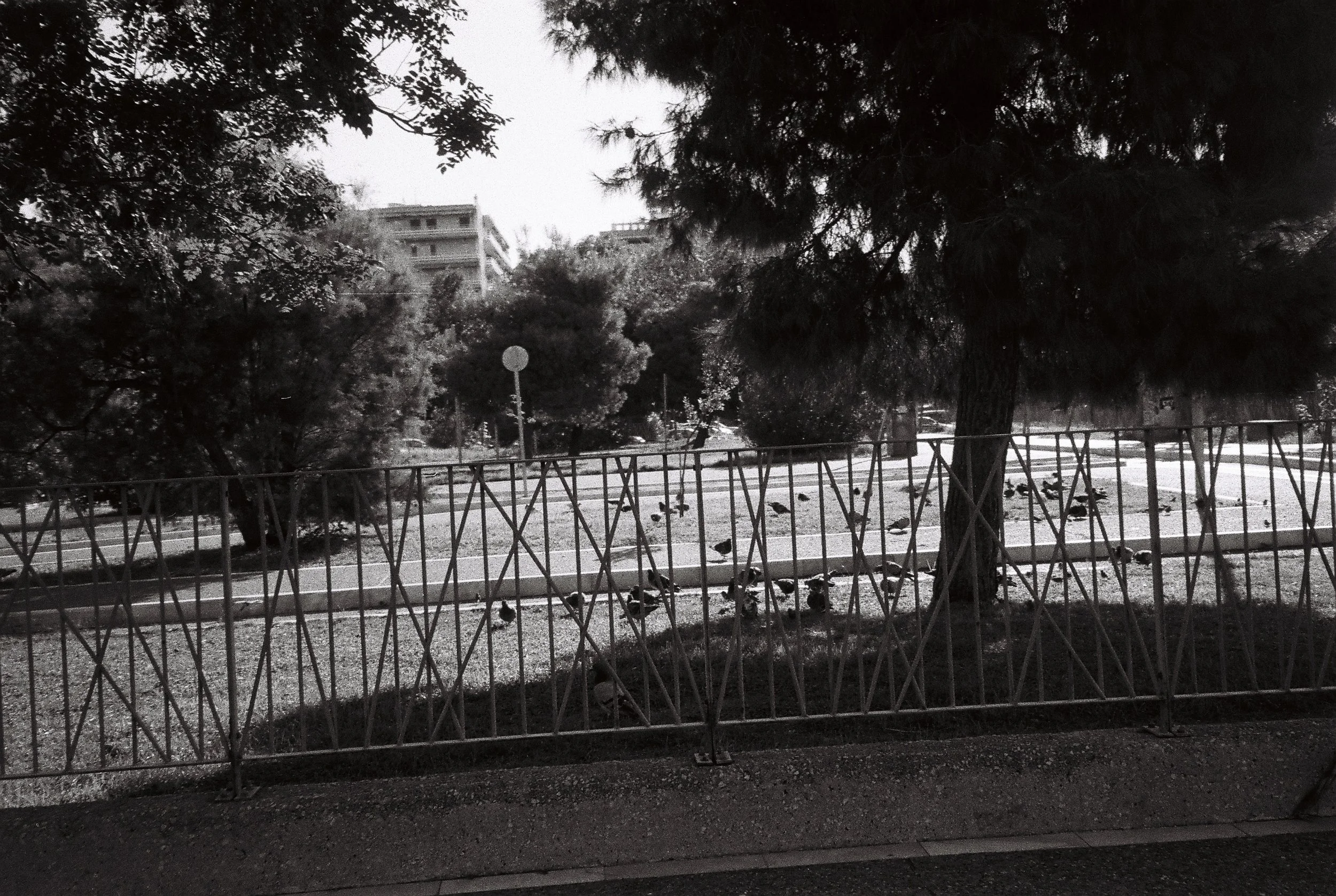 A black and white photo of trees and buildings viewed from behind a metal fence along a sidewalk.