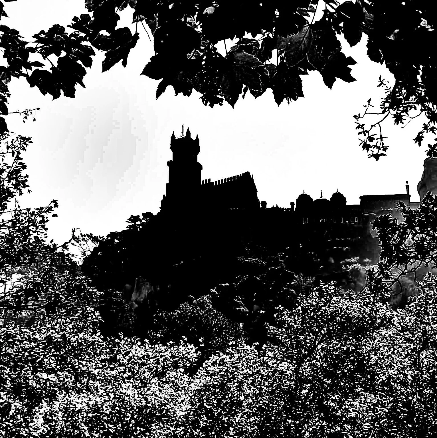 Silhouette of a castle or large building with turrets, framed by trees and foliage in a black and white photograph.