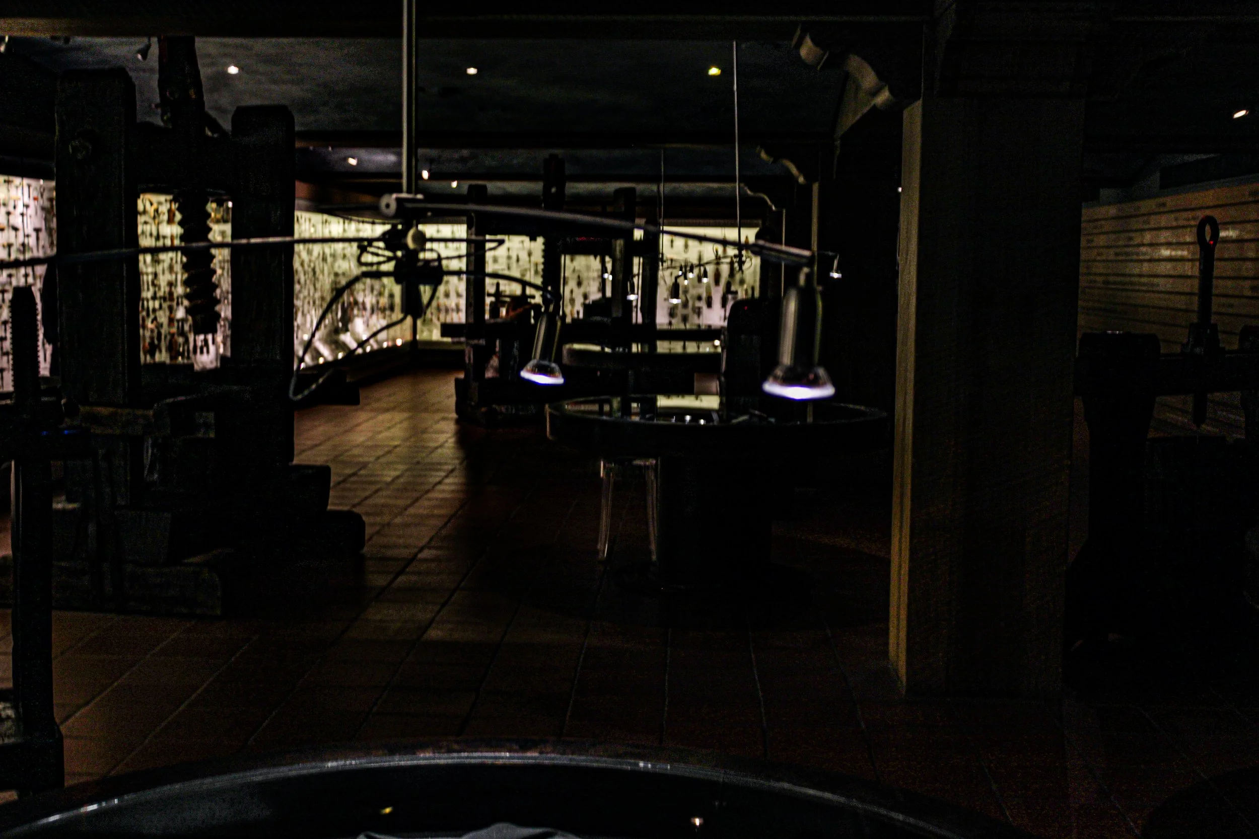 Dark indoor space with workout equipment, wooden wall, and dim lighting, viewed from inside a vehicle.
