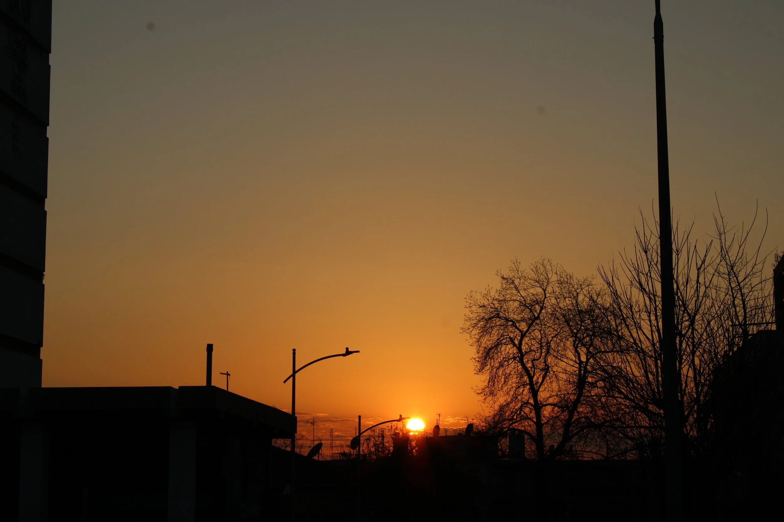 Sunset over a cityscape, with the sun just above the horizon, silhouetted buildings, leafless trees, and streetlights.