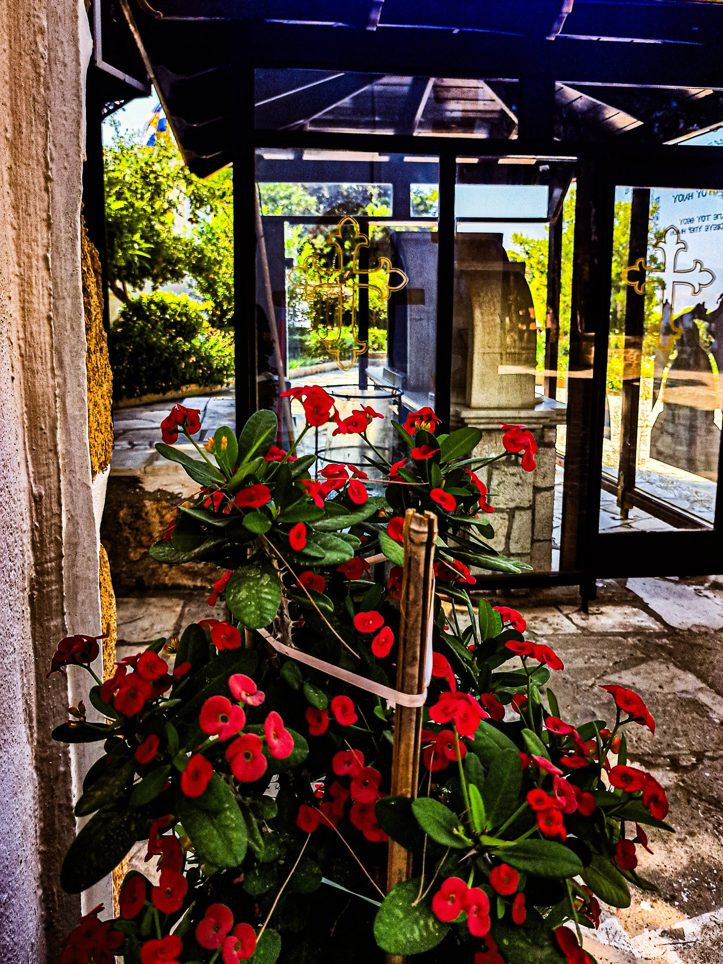 Red flowering plant in the foreground with a black metal window or door frame, and a stone monument behind the glass. Outside, trees and a clear sky are visible.