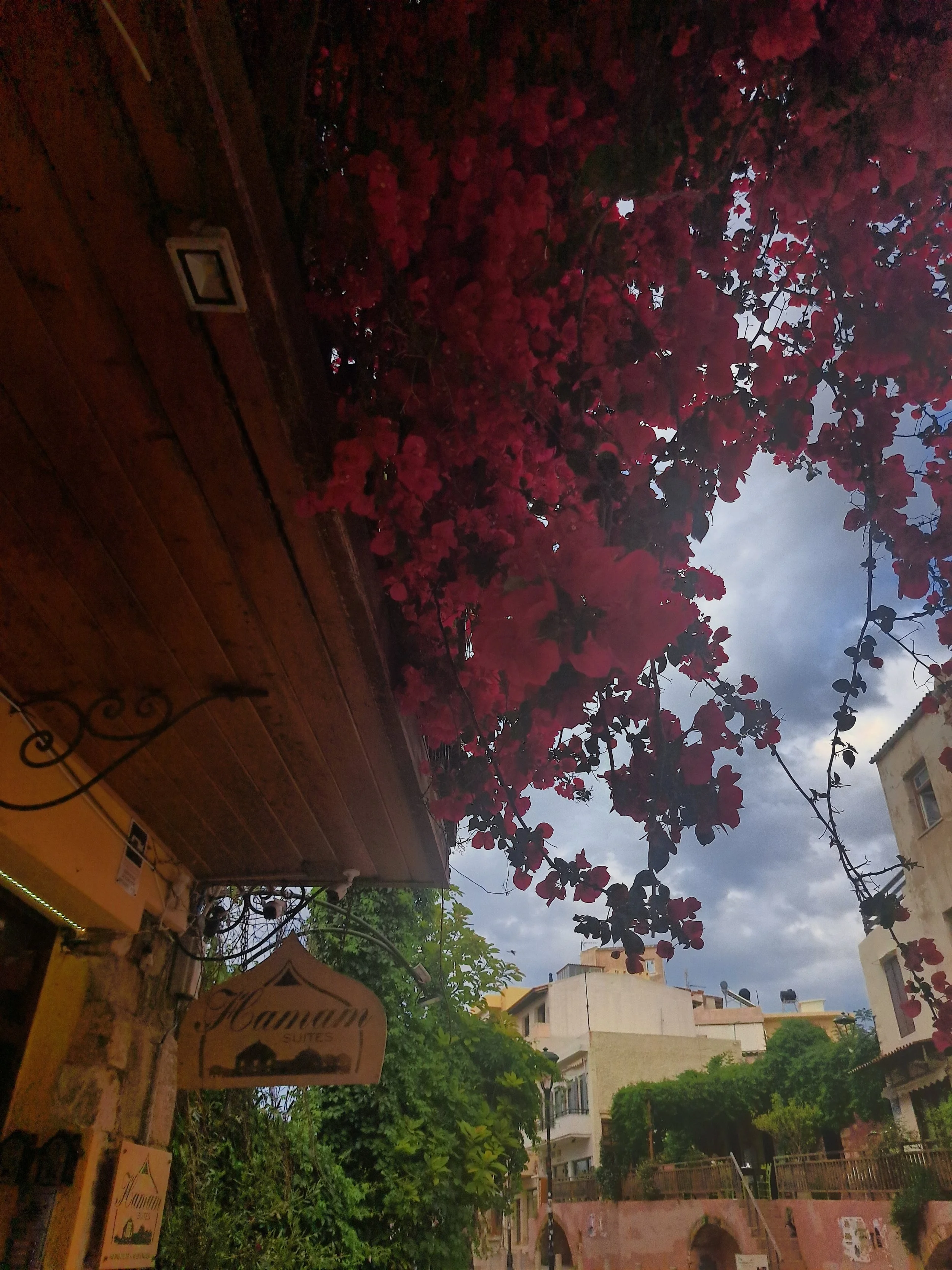 A street scene with a brick building on the left, pink bougainvillaea flowers hanging overhead, a sign that reads 'Manana Suites,' trees, modern white buildings in the background, and a cloudy sky.