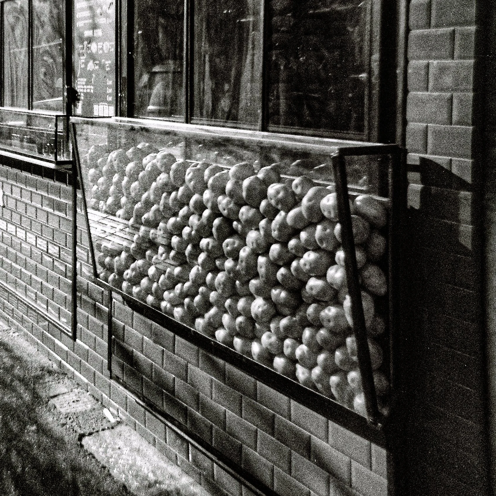 Brick wall with a display case of golf balls and a window in the background.