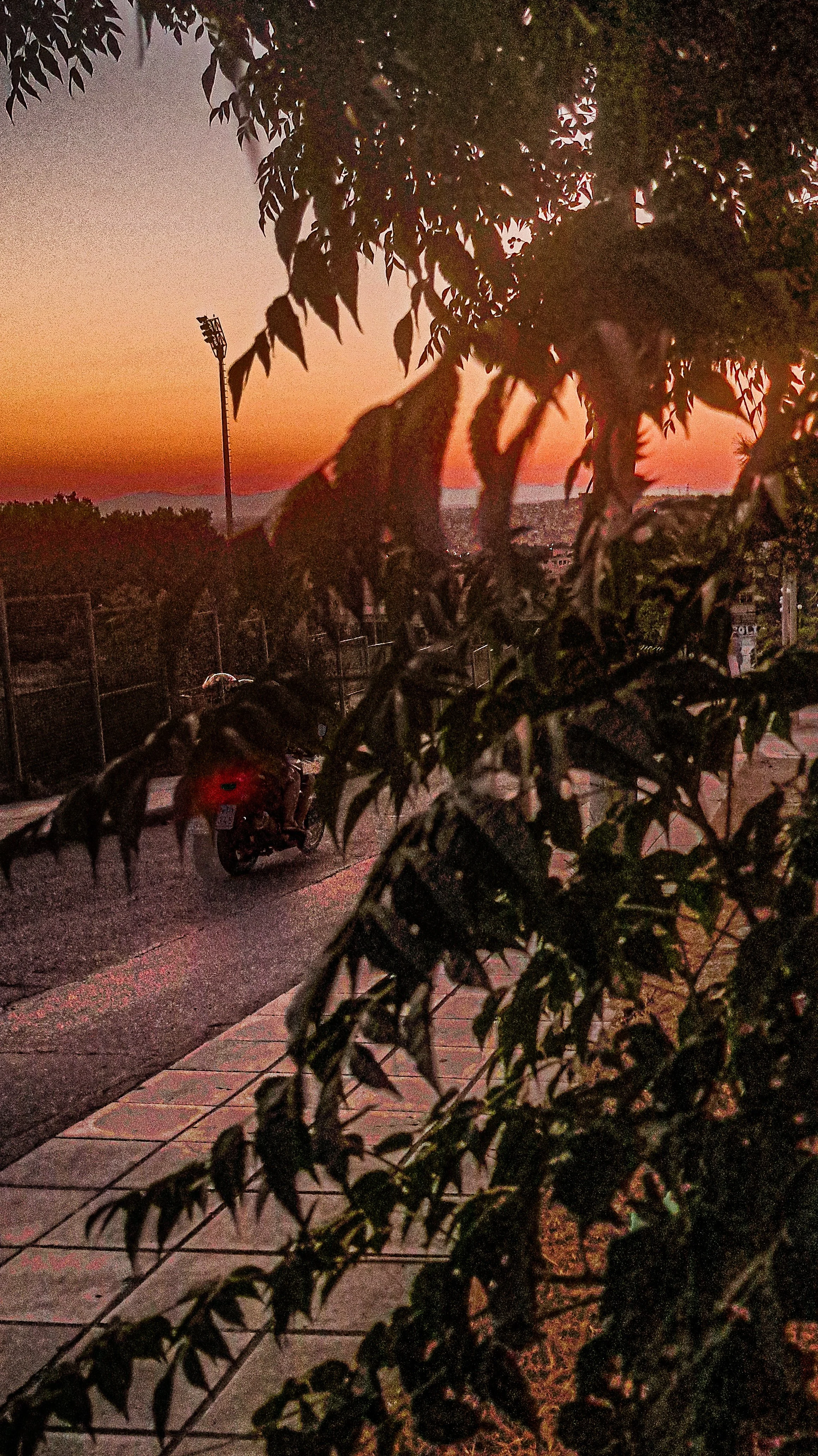 IMG_20260711_210412_HDR.jpg