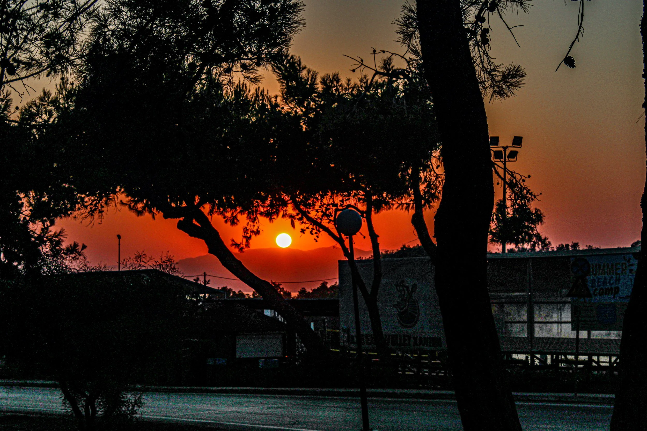 Silhouetted trees and streetlights at sunset with a visible sun near the horizon, casting orange and purple hues in the sky.