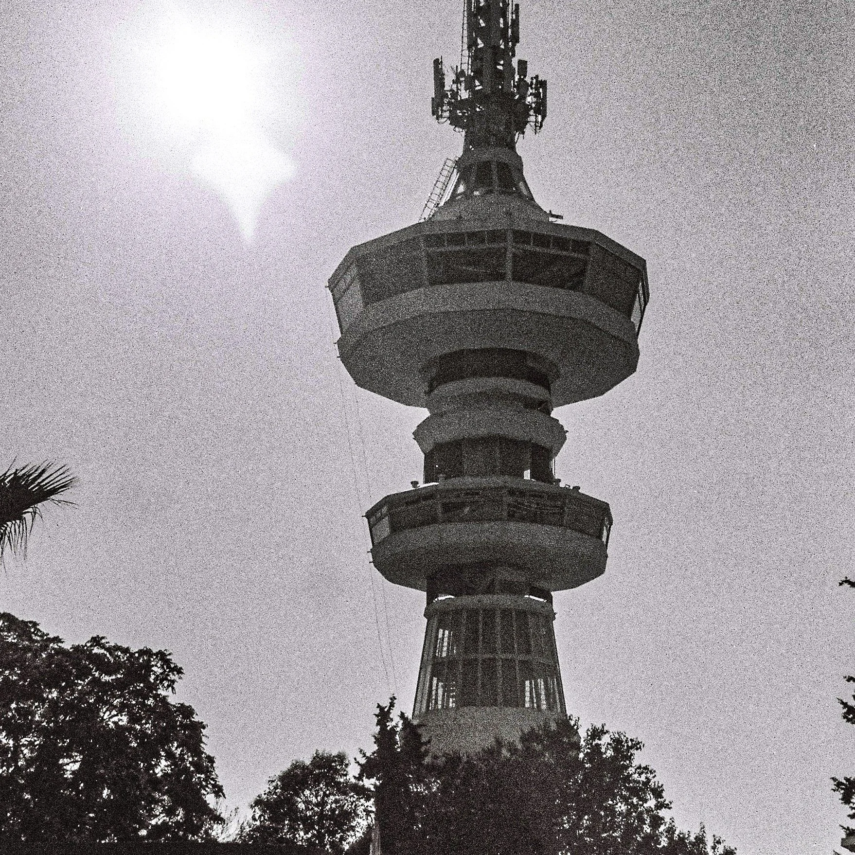 Nighttime view of a tall tower with multiple observation decks and antennas on top, partially obscured by trees in the foreground.
