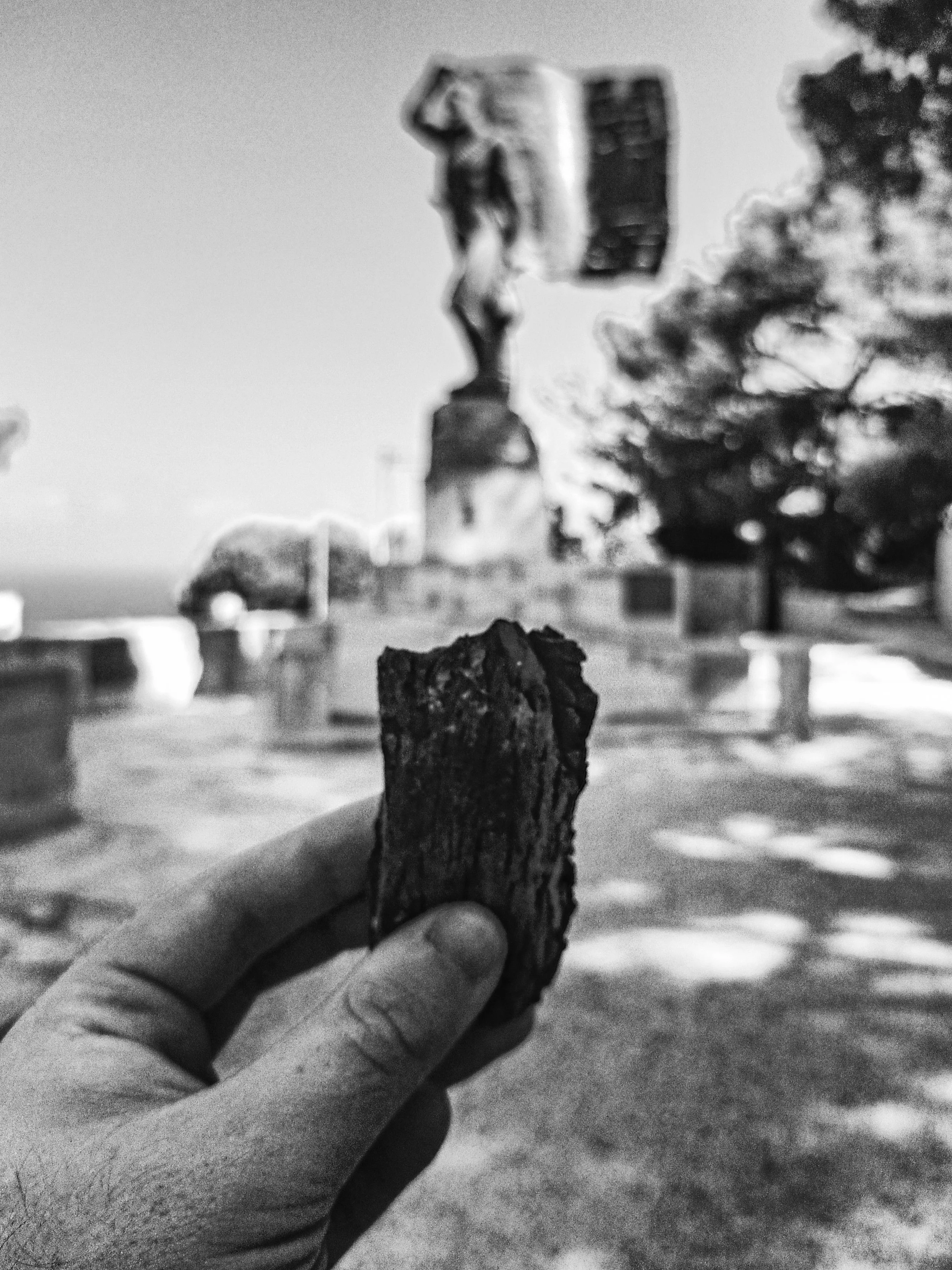 A hand is holding a small piece of wood or bark outdoors, with a blurred background of trees and a fence.
