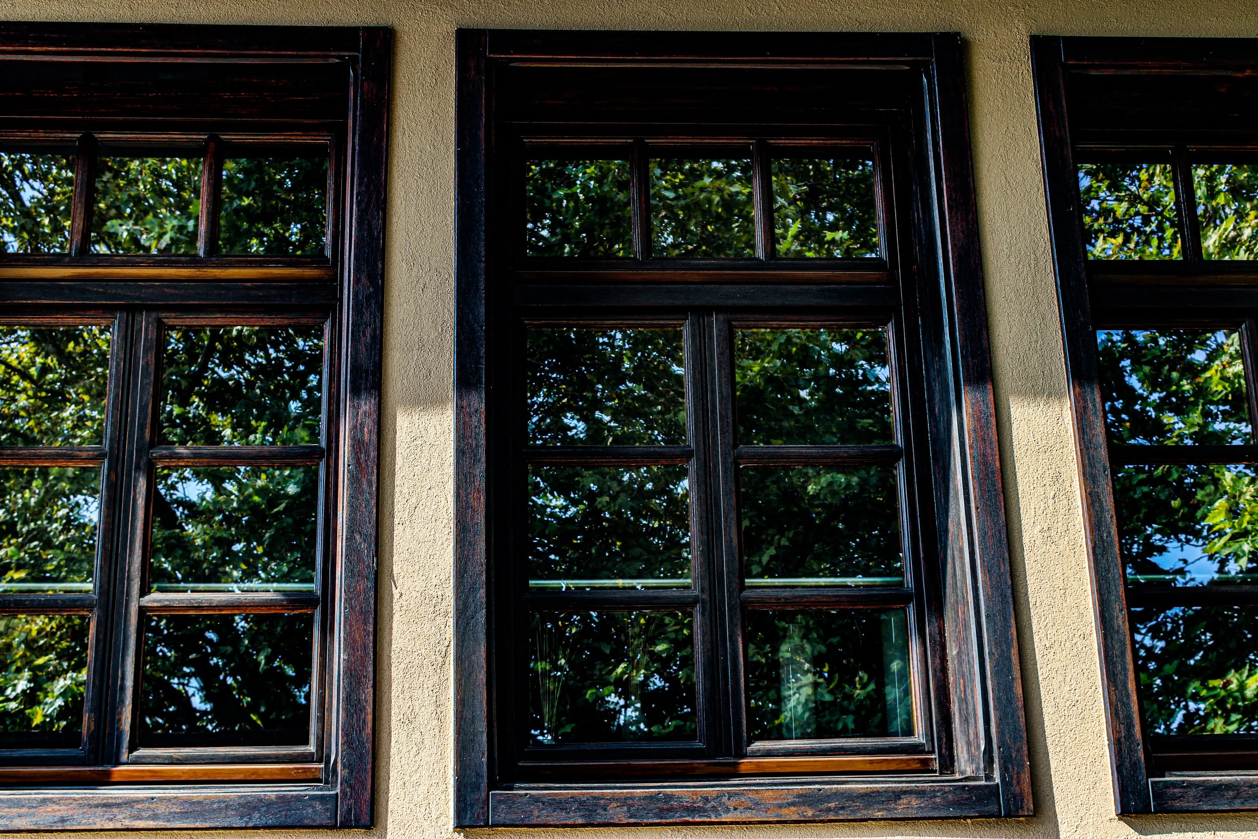 Close-up of a building's wall with three large windows featuring dark wooden frames and clear glass panes. Reflections of green leafy trees and a blue sky are visible in the glass. The wall is painted in a beige or light brown color.