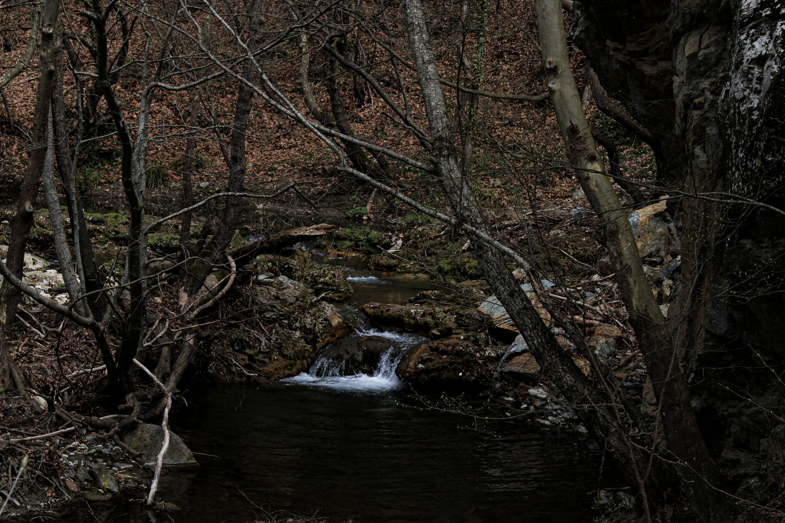 A small creek flowing through a woodland area with leafless trees and rocks.