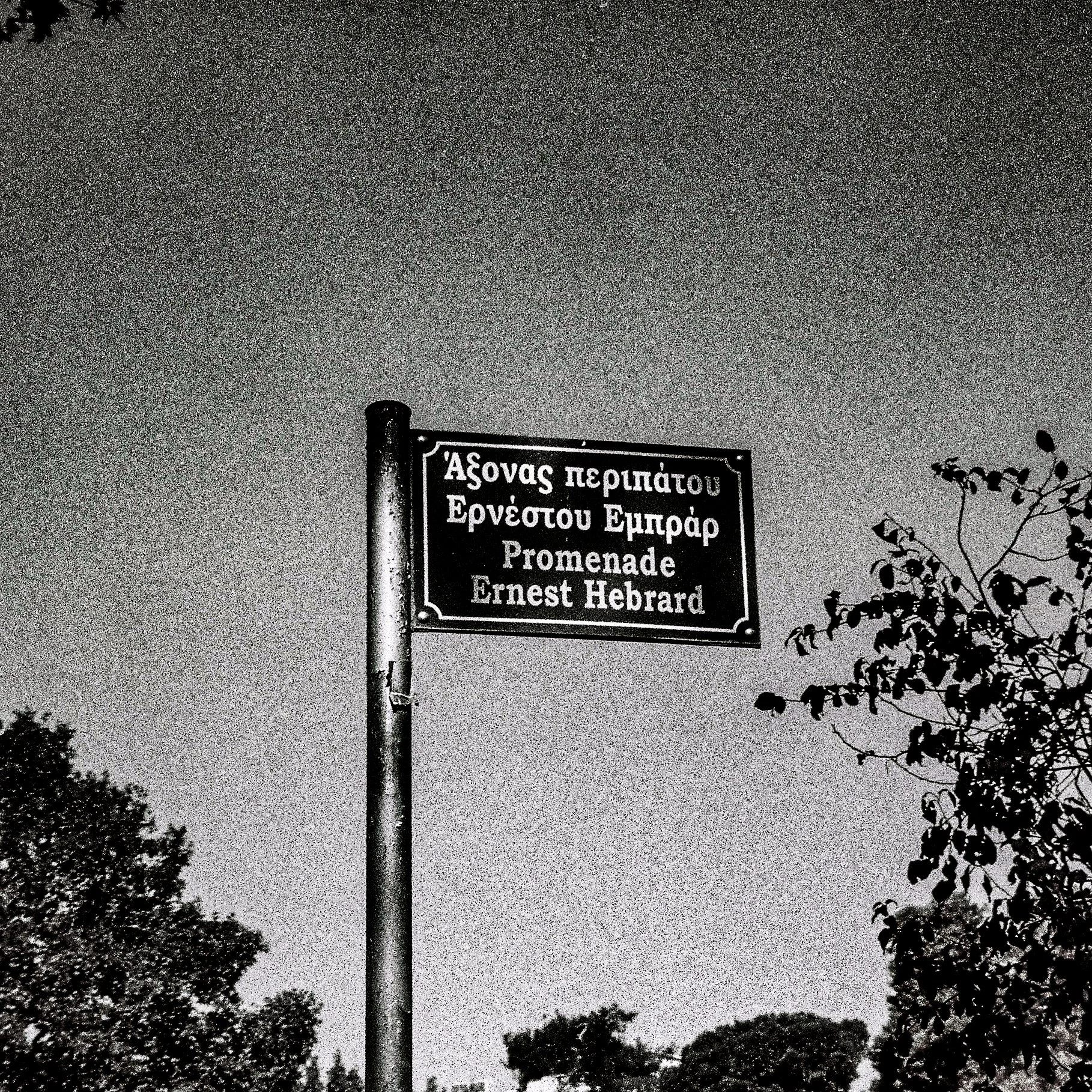 Street sign in Greek and English, with a dark sky and trees in the background.