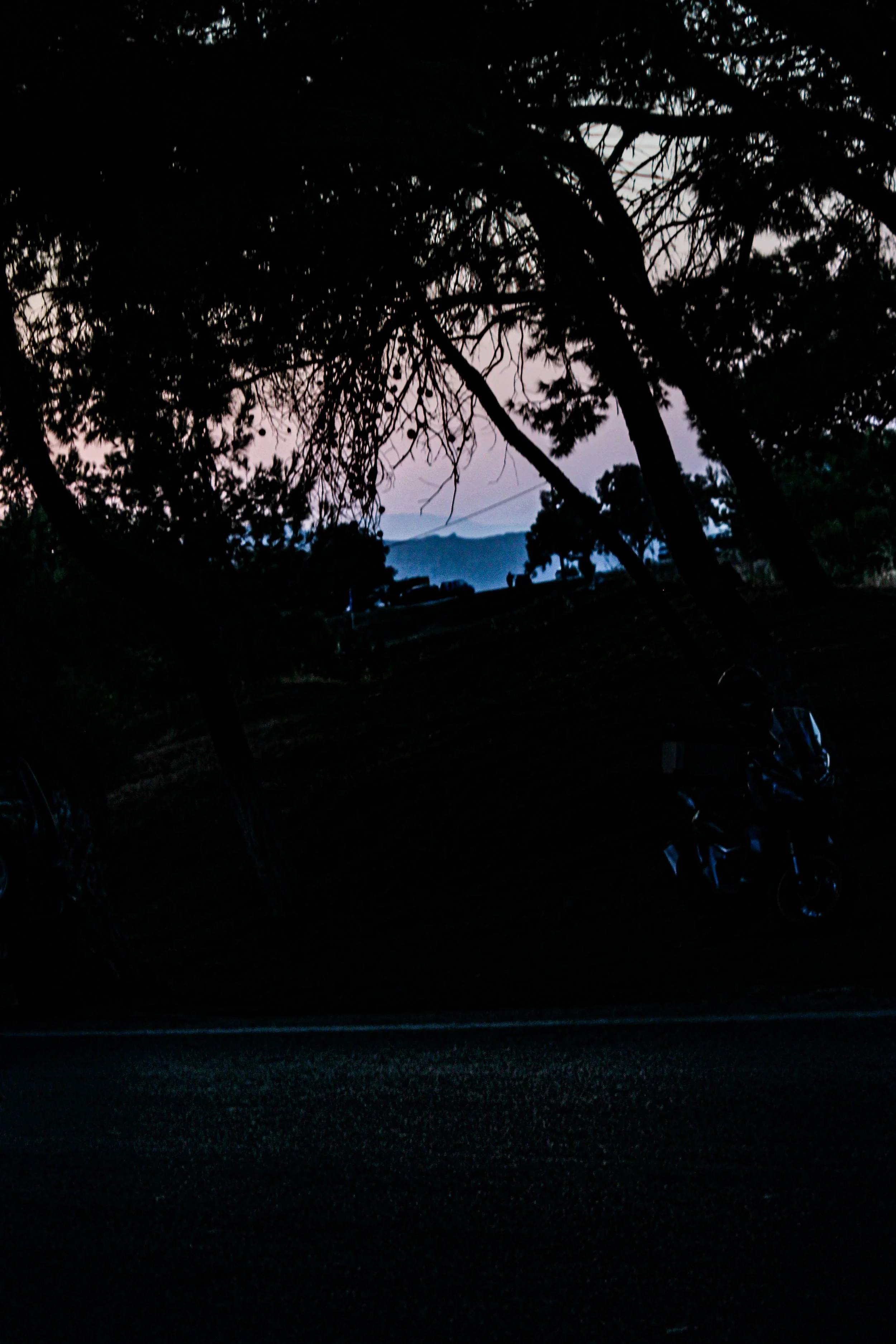 Silhouettes of trees against a twilight sky with distant mountains in the background.