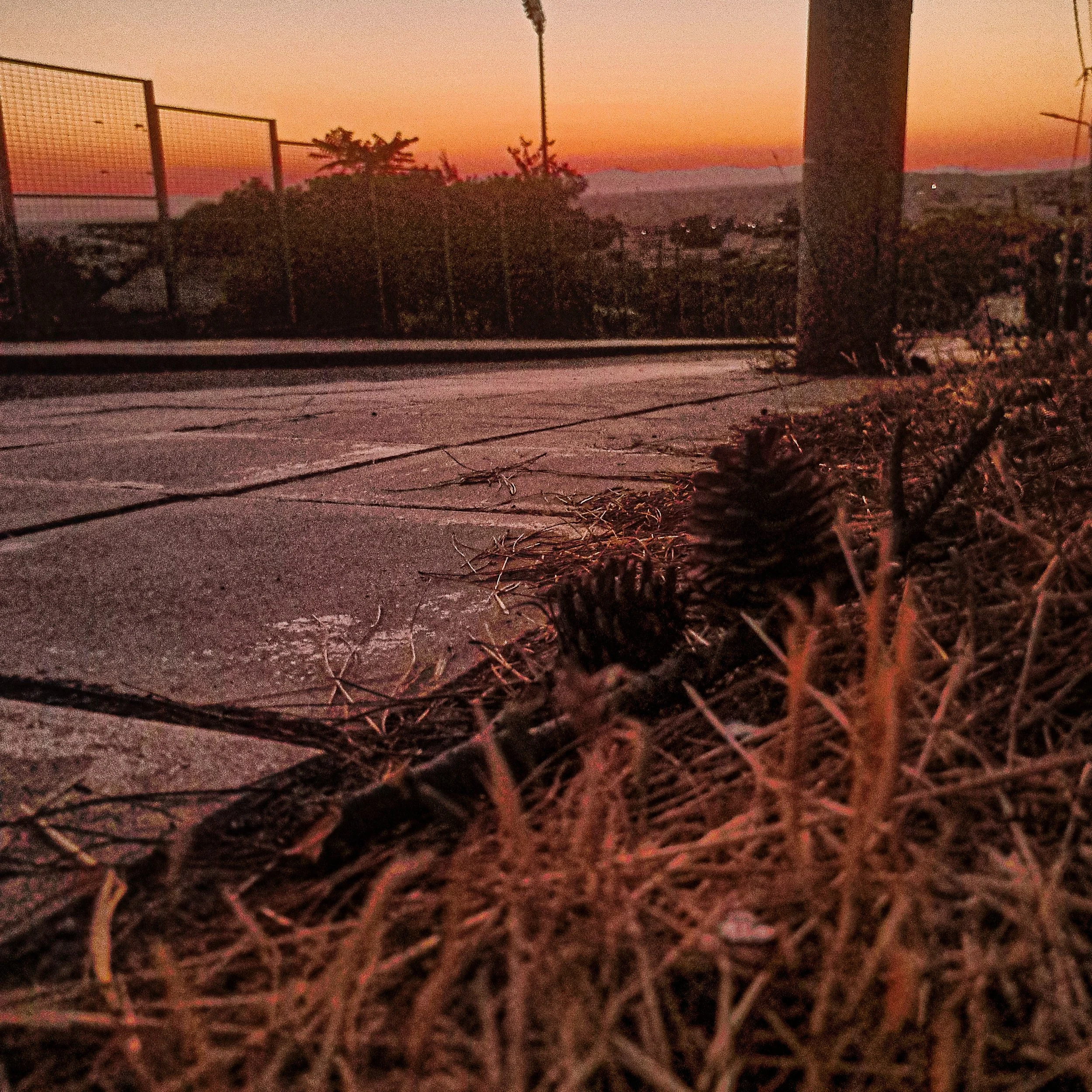 IMG_20260711_210333_HDR.jpg
