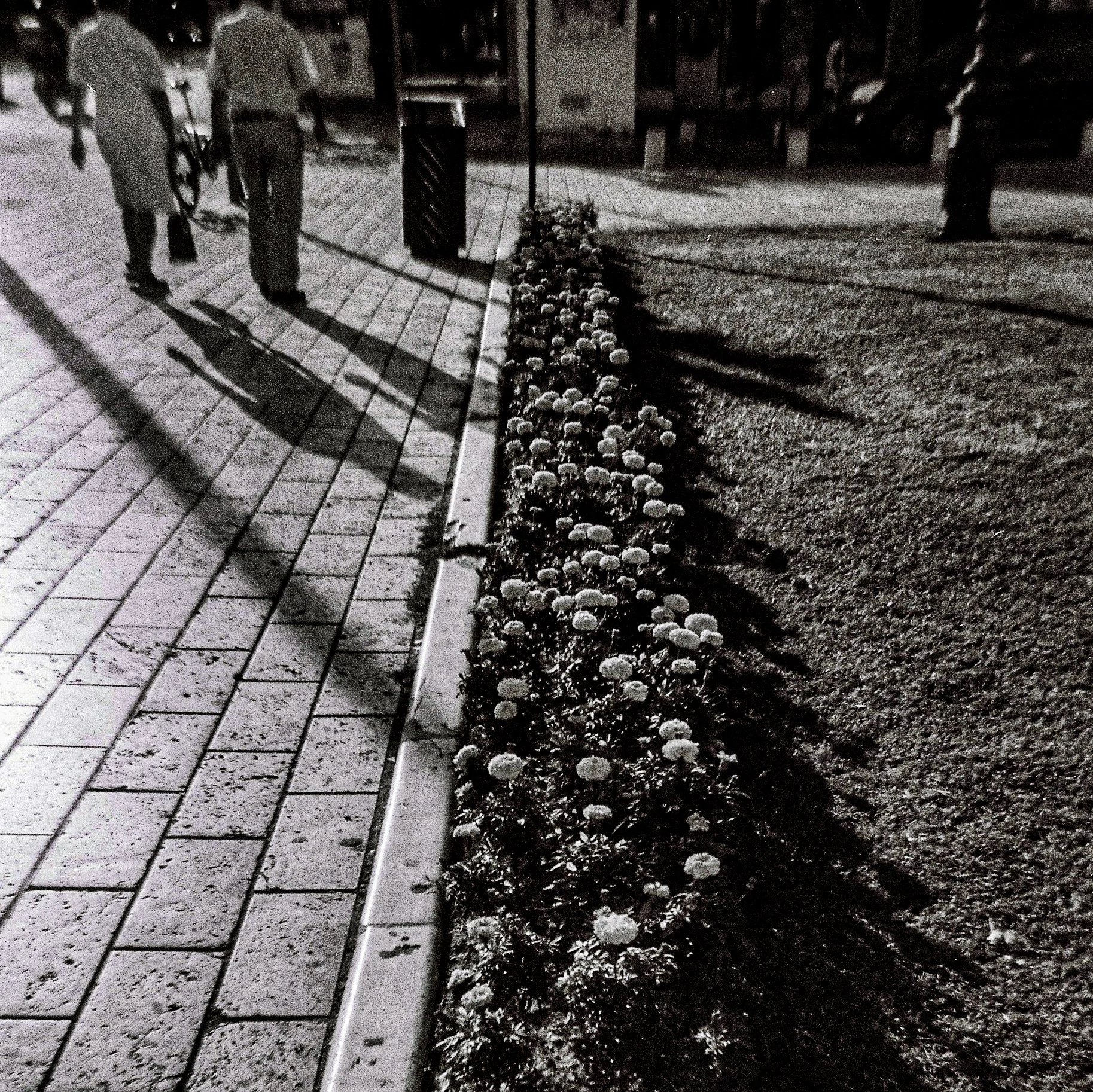 Nighttime street scene with a sidewalk, flowers, and streetlights casting shadows. Two people are walking with one carrying bags. A trash bin is visible, and other pedestrians are in the background.