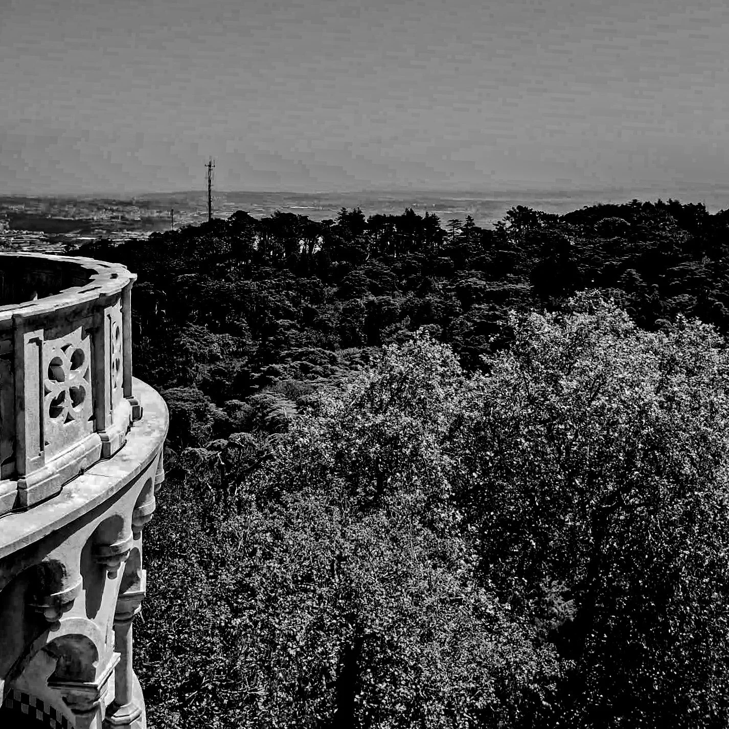 Black and white photo of a scenic view from a balcony with a decorative railing, overlooking trees and a distant landscape with a cityscape and a radio tower in the background.