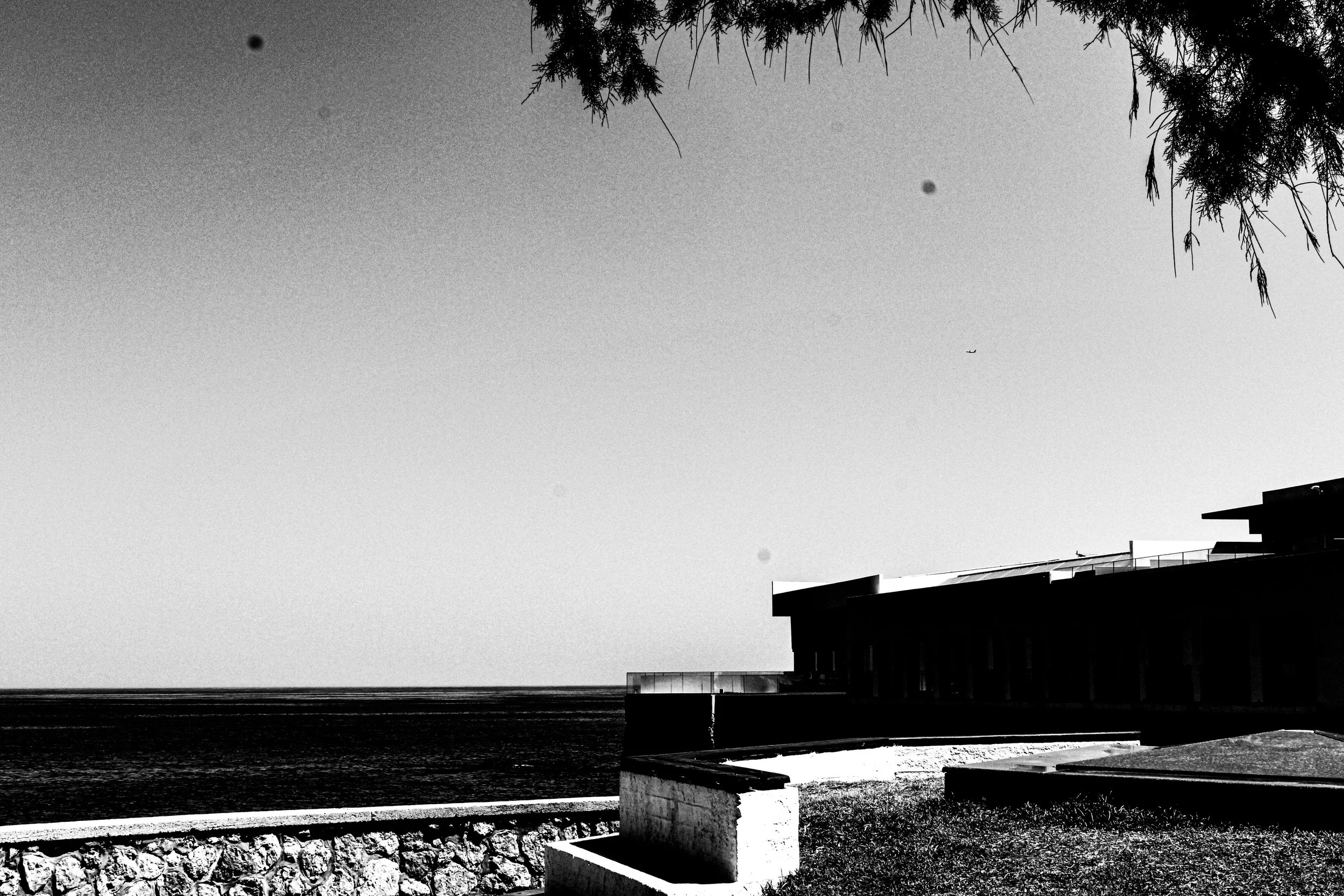Black and white photo of outdoor scenery including a shoreline, some modern buildings or houses, and a partly cloudy sky with a small aircraft flying in the distance. There are trees with hanging branches in the foreground.
