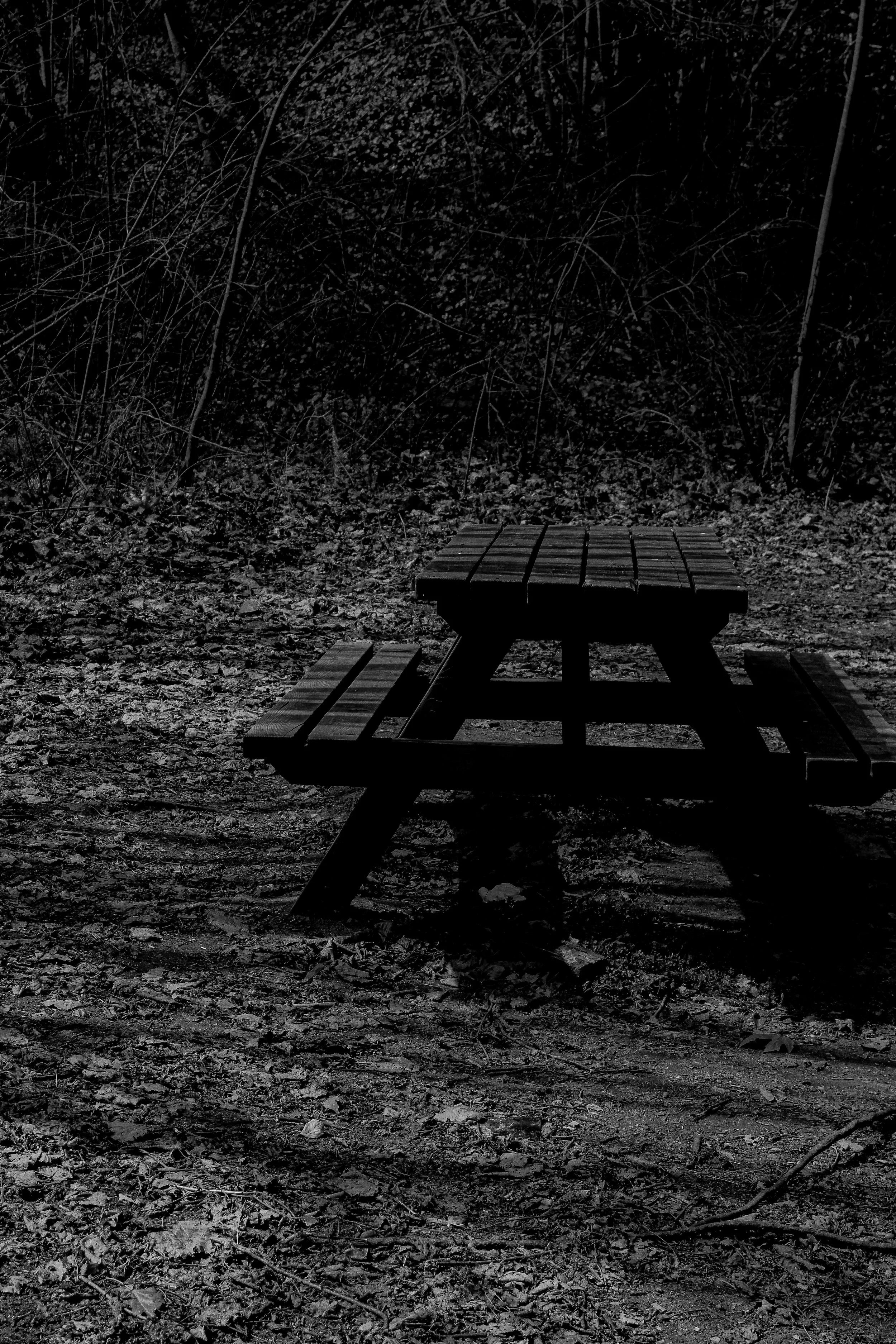 A wooden picnic table and bench in a wooded outdoor area at night, illuminated faintly, with fallen leaves on the ground and dense trees in the background.