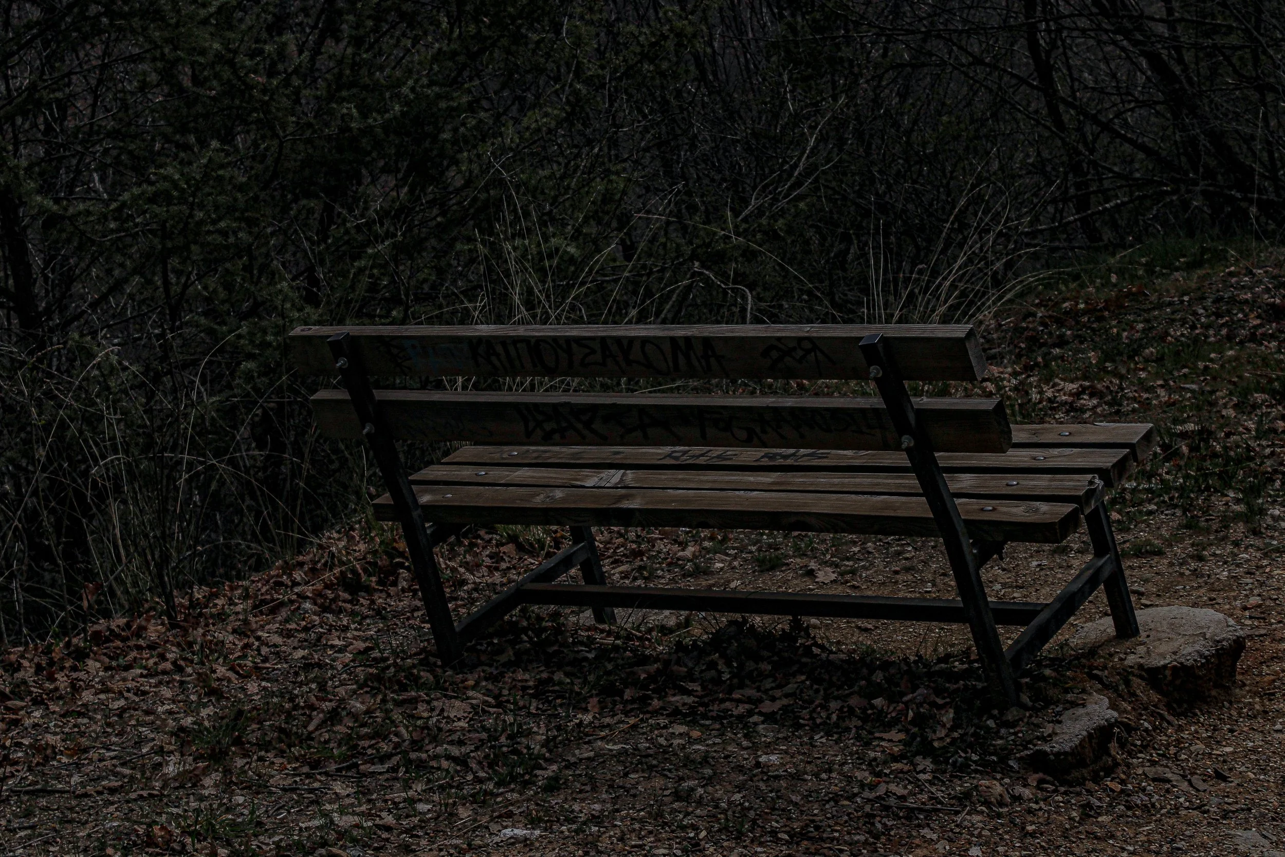 A wooden park bench in a dark outdoor setting surrounded by leafless bushes and trees.