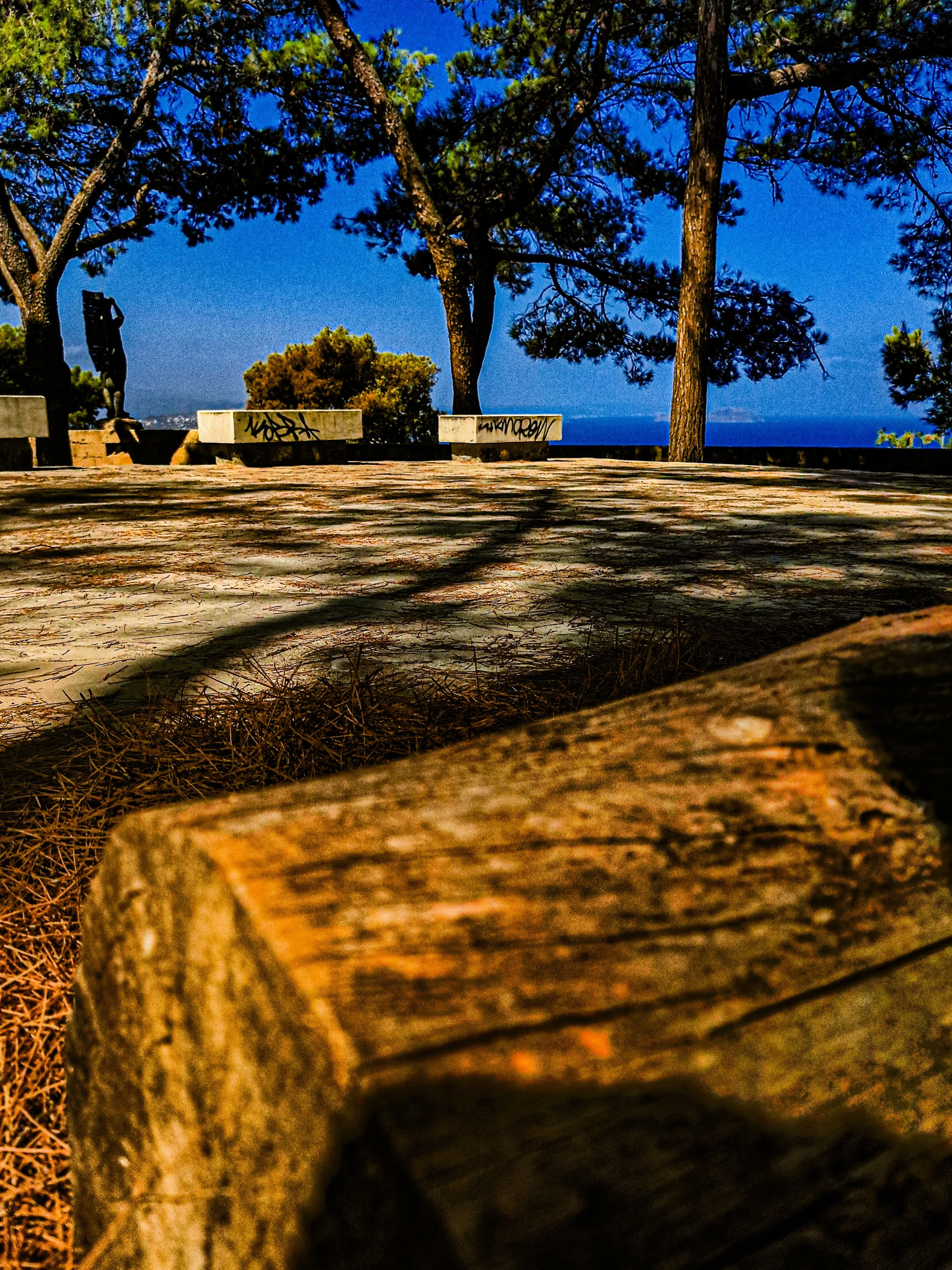 A nighttime park scene with benches, trees, and a distant view of the ocean under a dark sky.