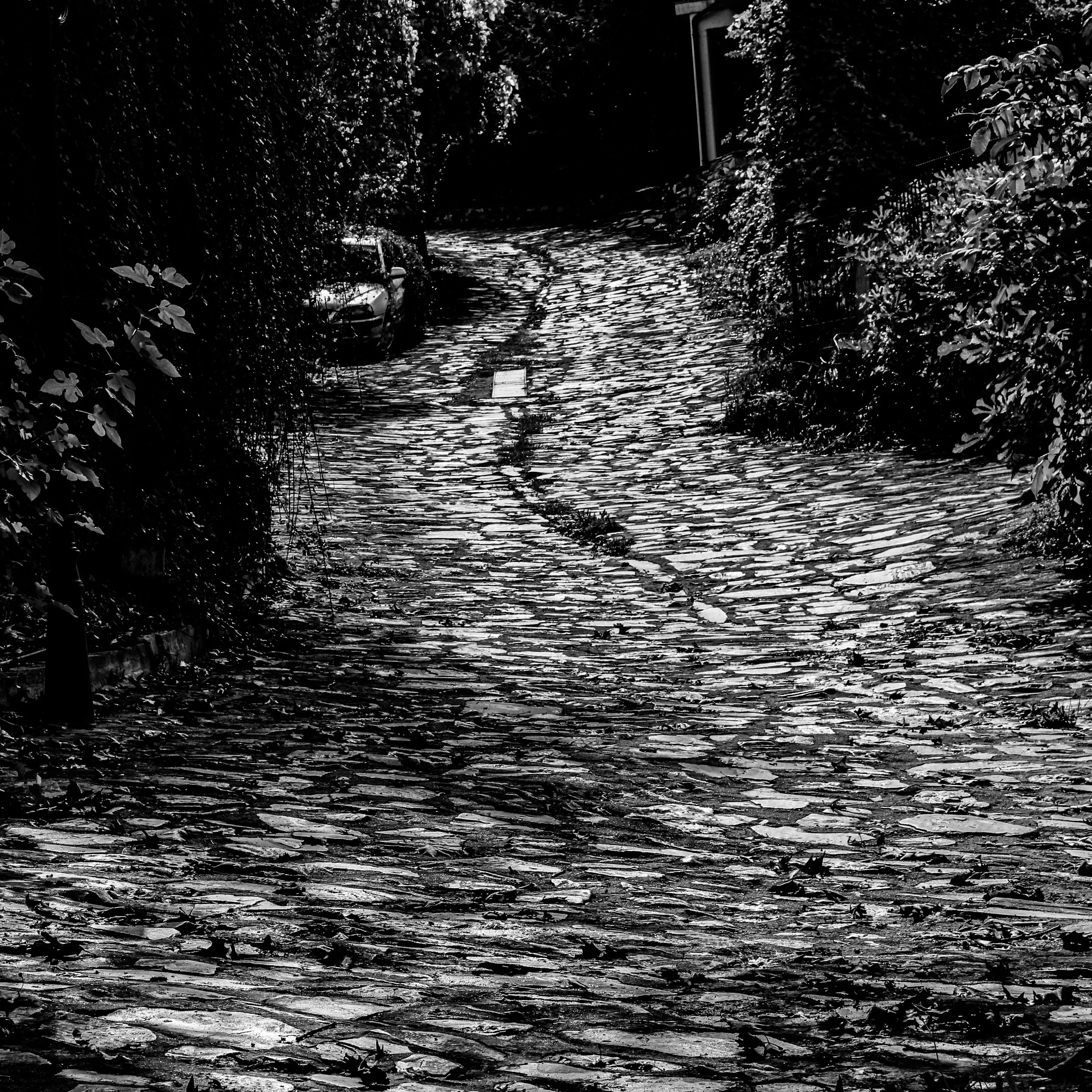 A black and white photograph of a cobblestone alleyway lined with bushes and trees, with a car partially visible on the left side.