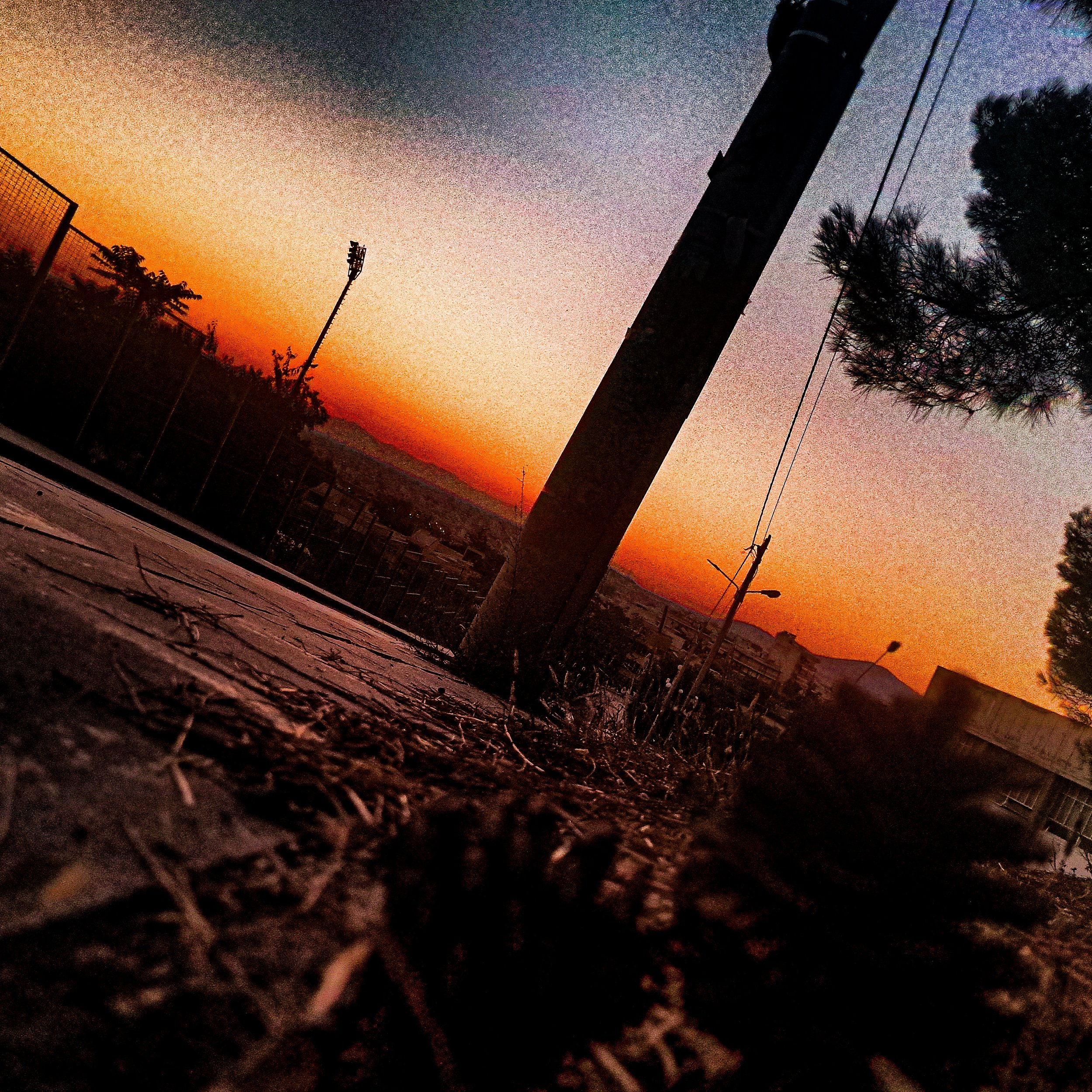 IMG_20260711_210310_HDR.jpg