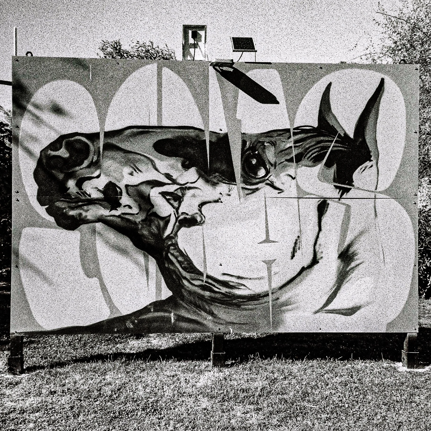 Black and white mural of a dinosaur's head on a large outdoor wall, with a sun and circular background, seen from a distance on a grassy area with trees in the background.