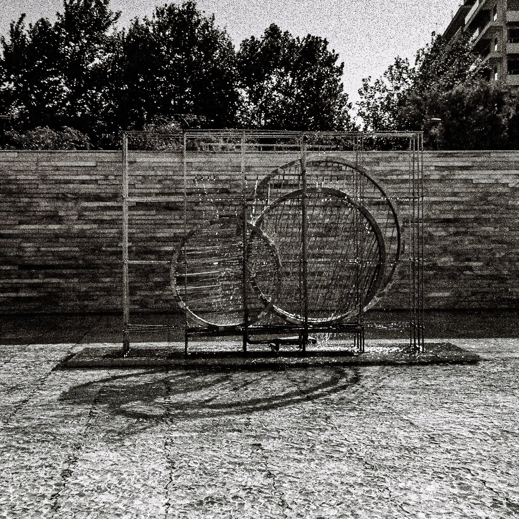 A playground with metal climbing structures and curved bars, set against a wooden fence and trees in the background, captured in black and white.