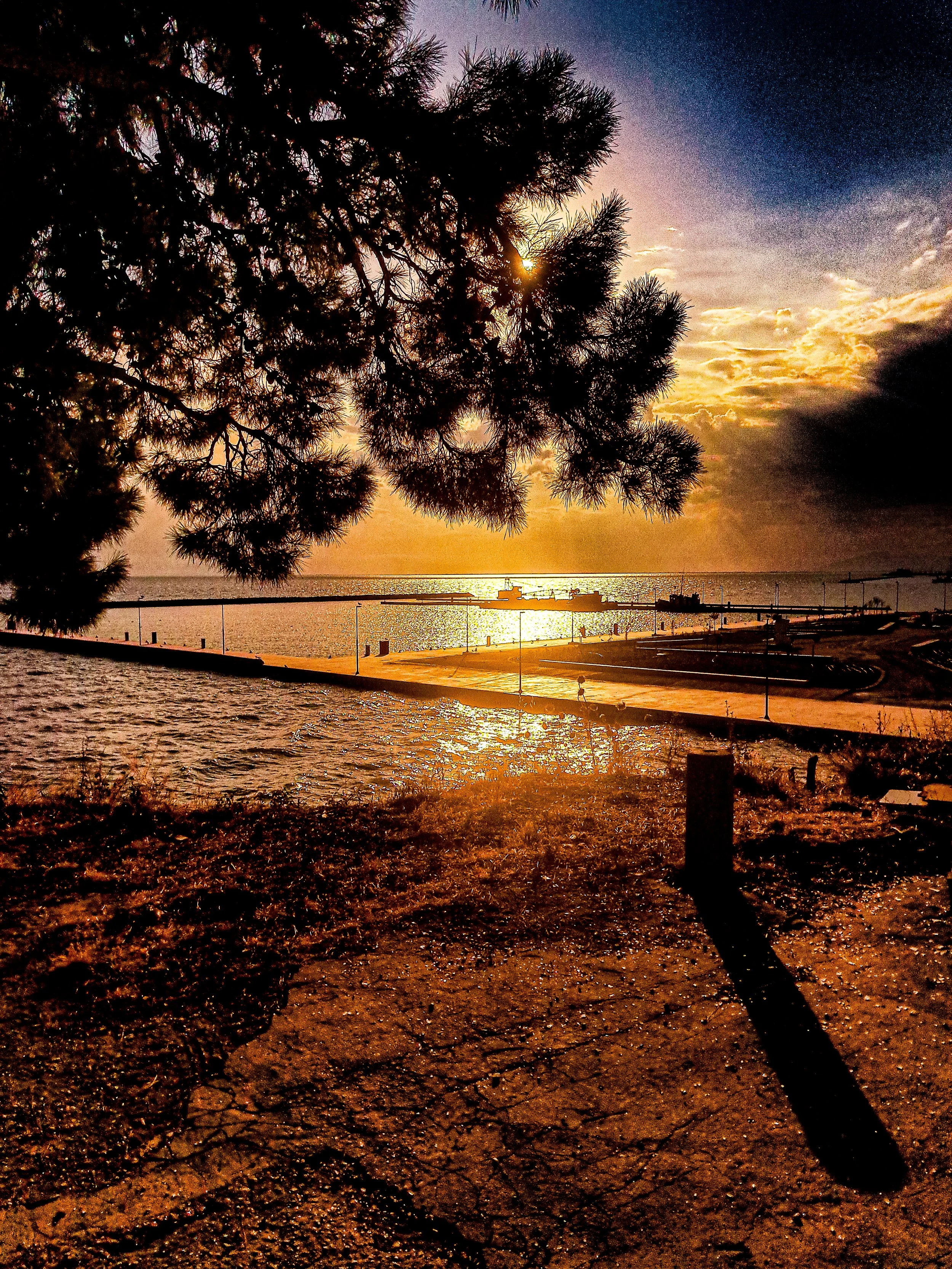 Sunset over a body of water with a large pine tree in the foreground, while the sky is partly cloudy with shades of purple, orange, and yellow.