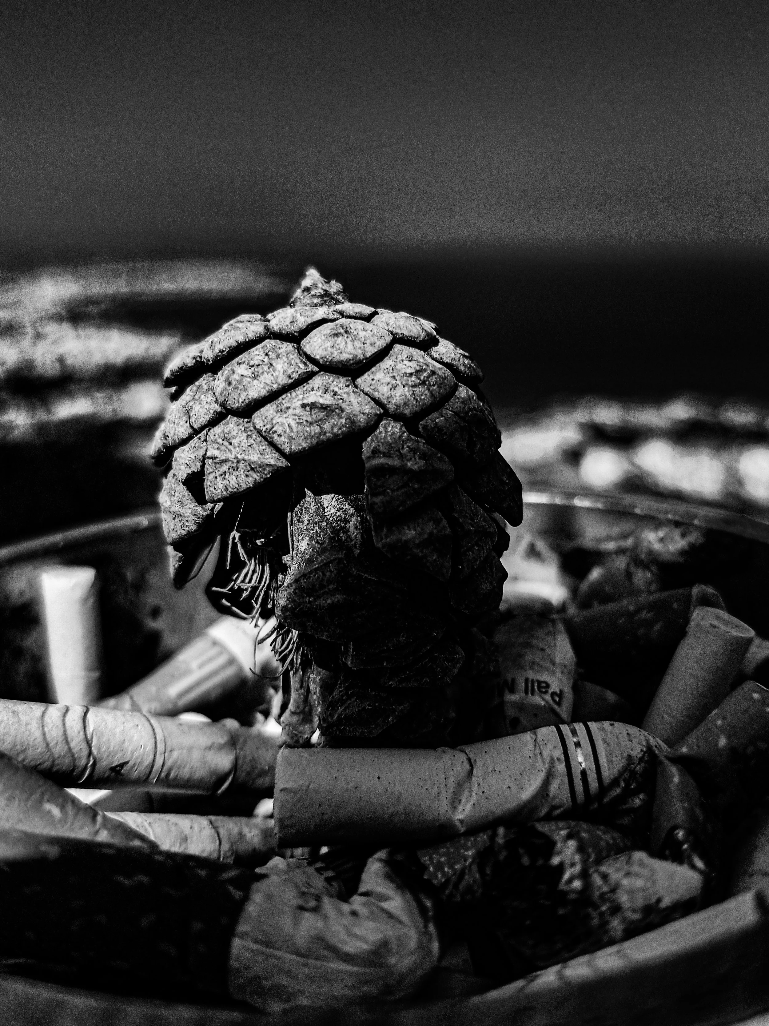 A black and white close-up photograph of a pine cone amidst crushed paper and debris.
