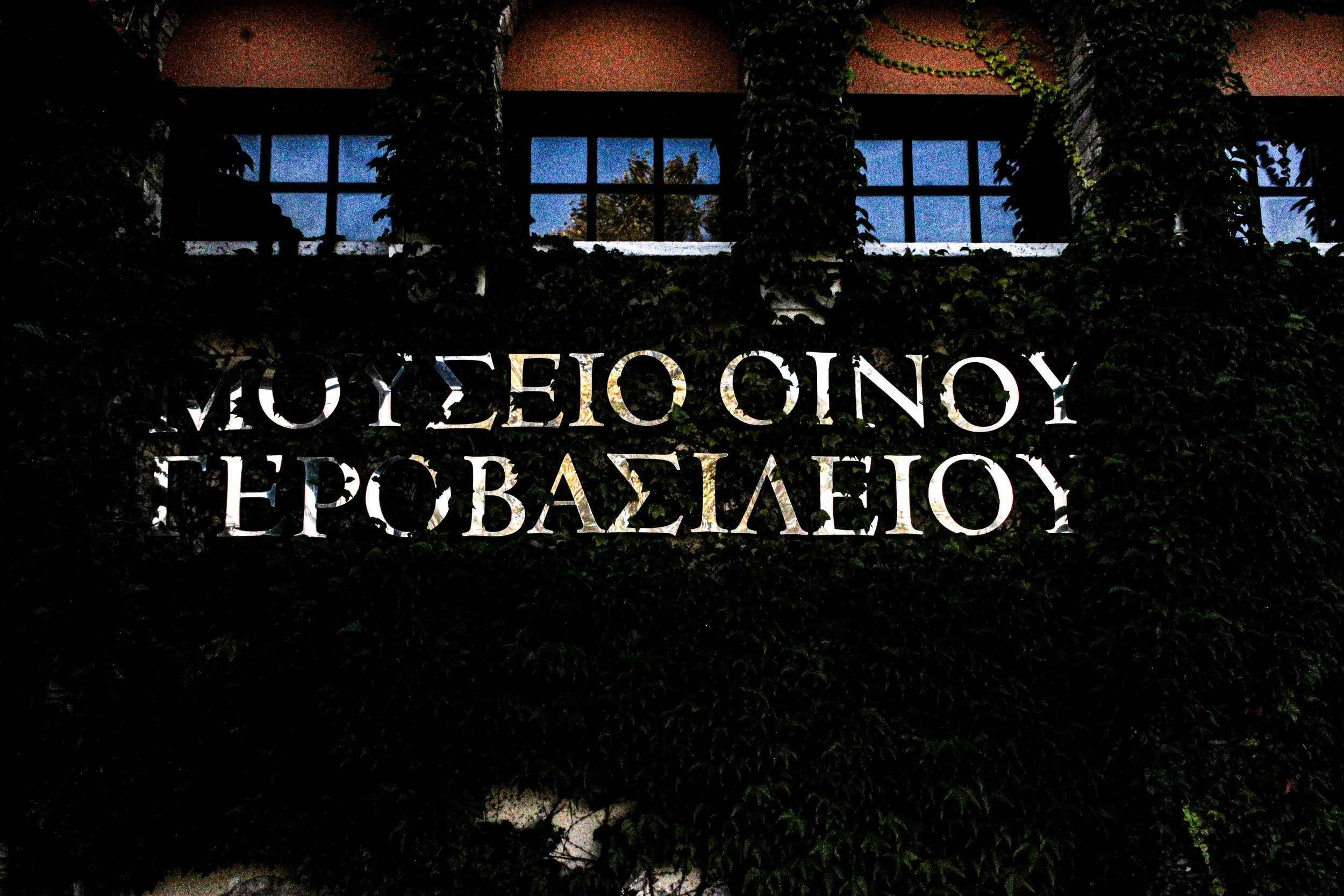 An illuminated sign with the words 'MUSEO DE LA CIUDAD' in reverse, partially covered by dark green ivy, in front of a window reflecting the night sky.