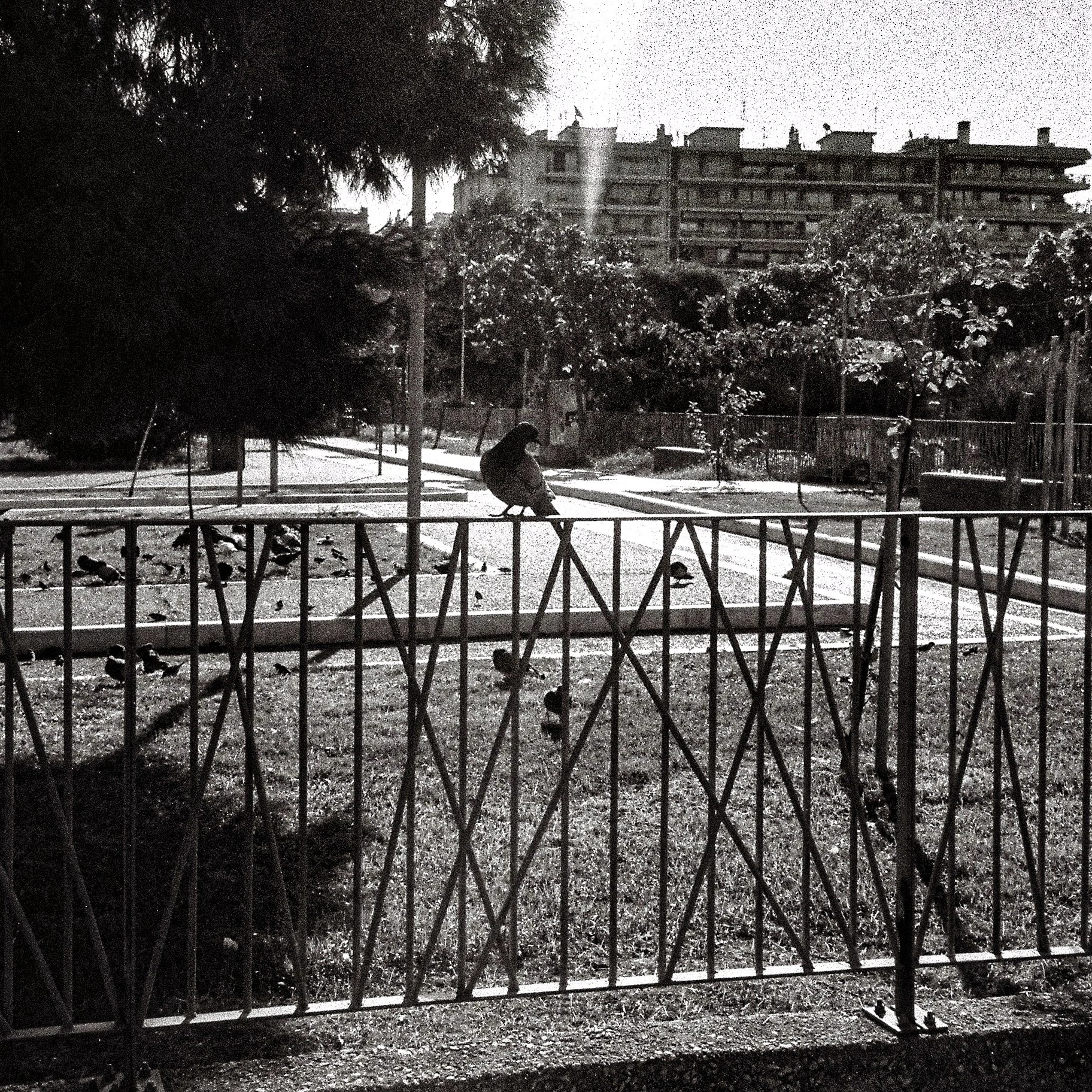 A black and white photo of a park scene with a person sitting on a bench, surrounded by trees, fences, and residential apartment buildings in the background.