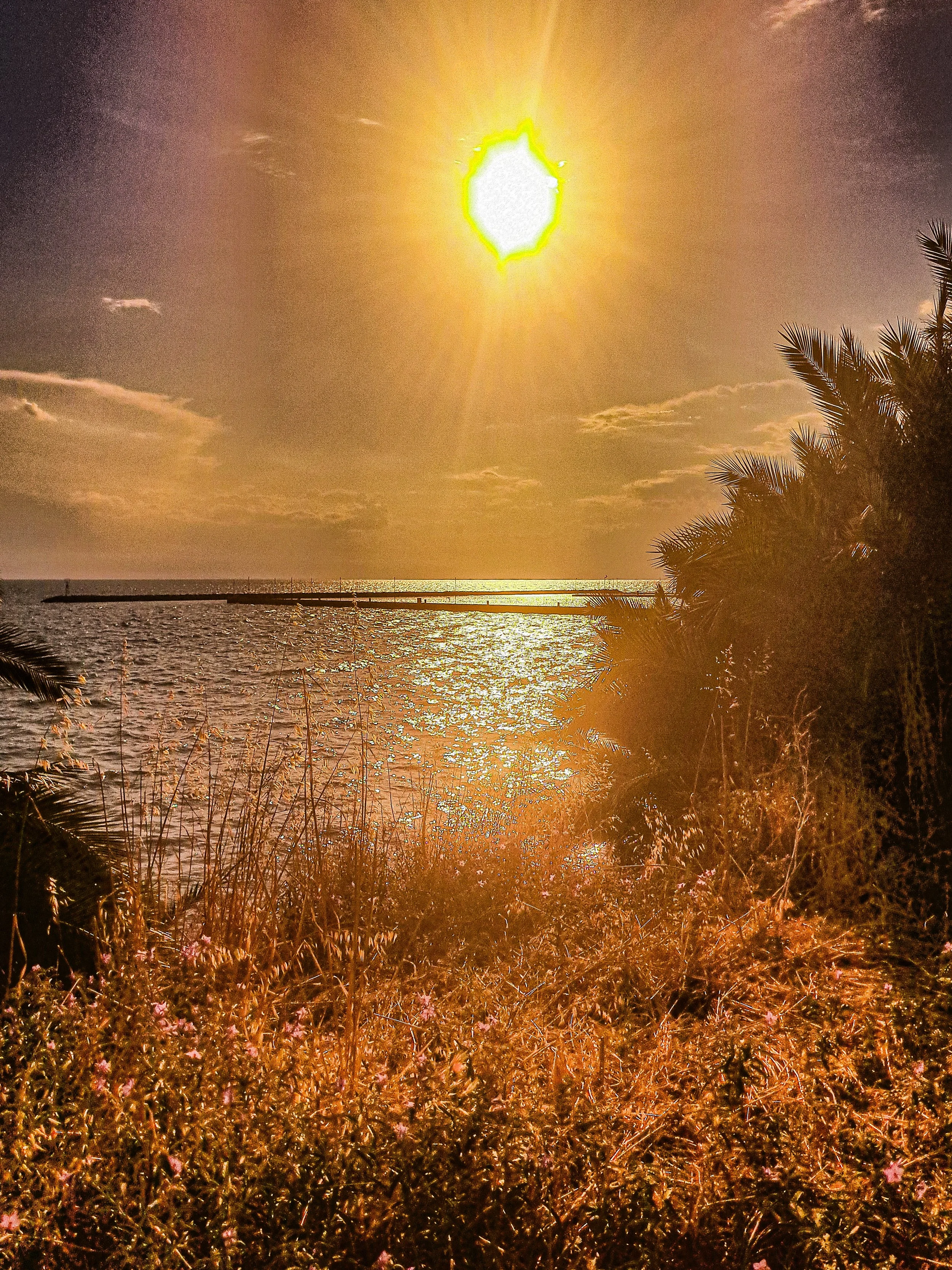 Sun setting over the ocean, with a reflection on the water and a partly cloudy sky. Vegetation is visible in the foreground.