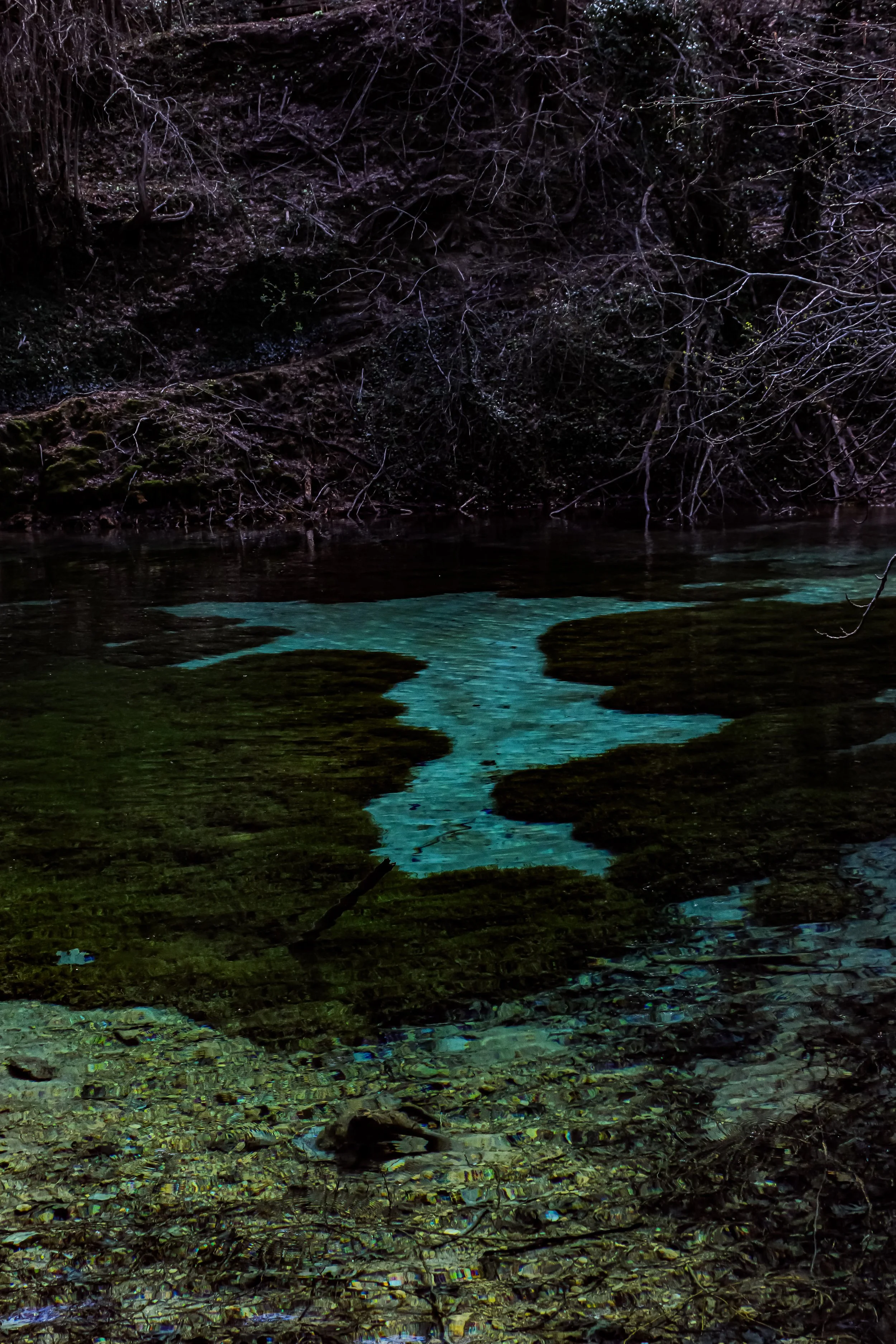 A nighttime scene of a river flowing through a wooded area with dark water reflecting faint light and bare tree branches overhead.