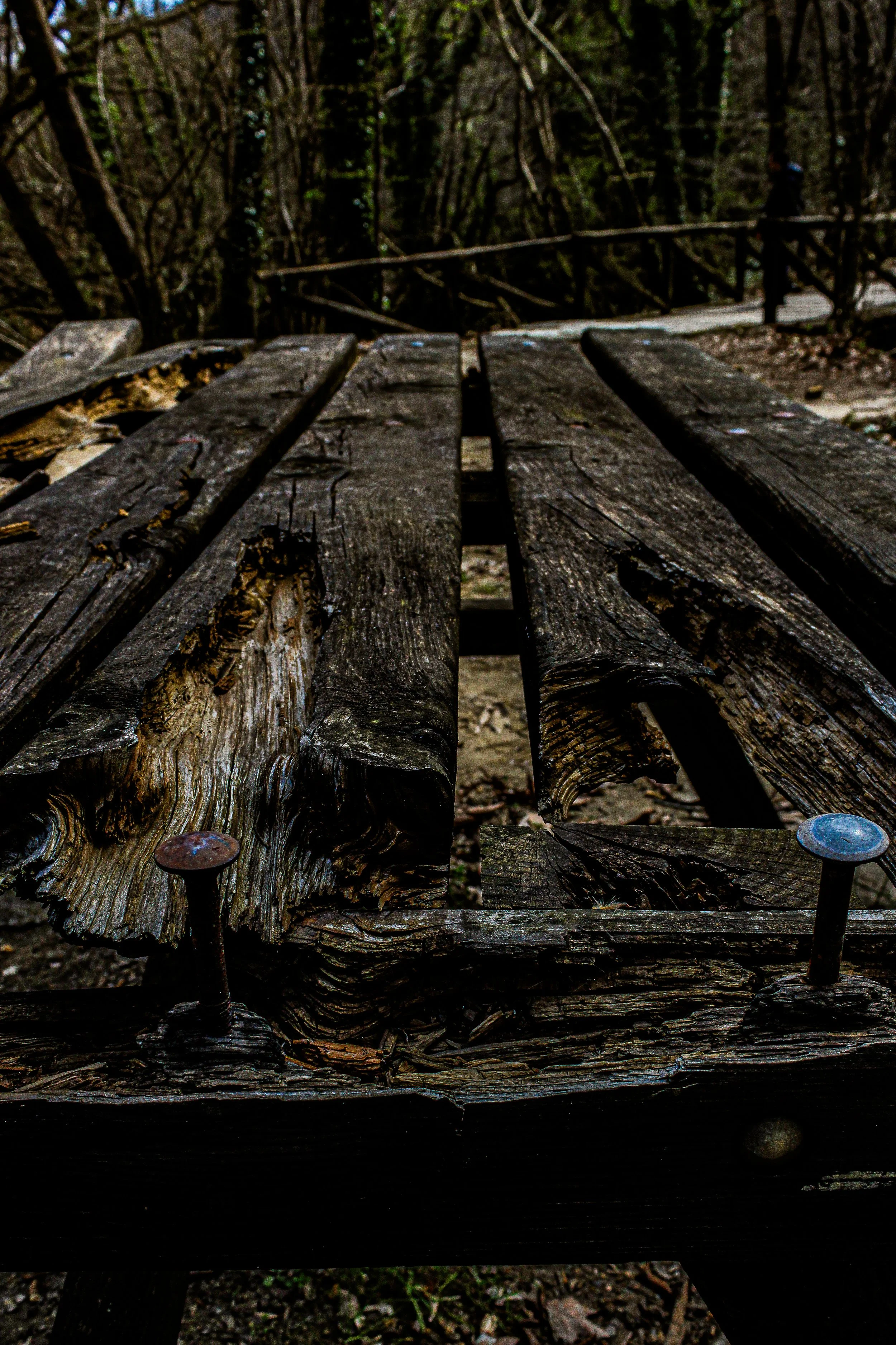 Close-up of a weathered wooden picnic table with rusty nails, set in a forested area with trees and a person walking on a boardwalk in the background.