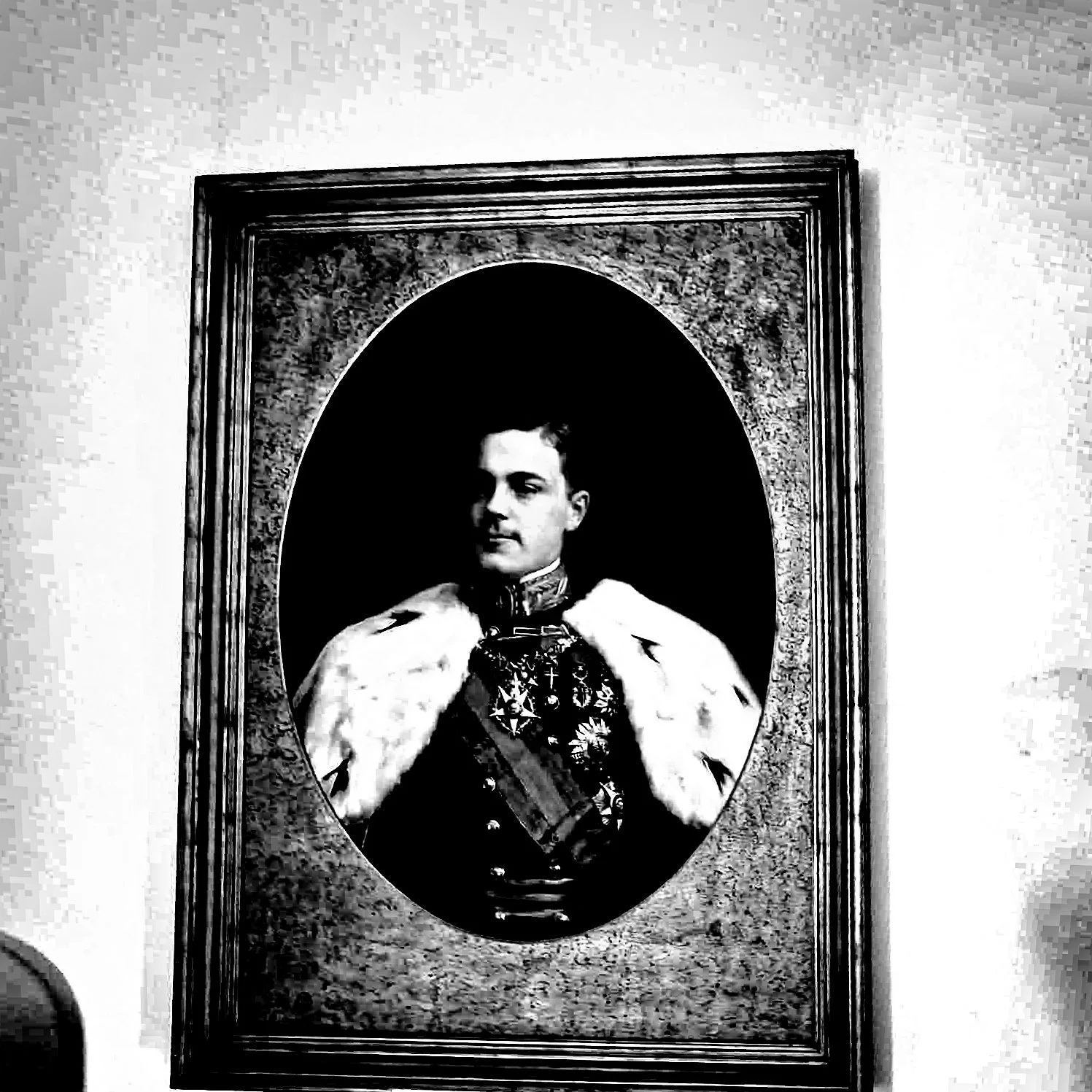 Portrait of a young man in historical military uniform, framed, hanging on a wall.