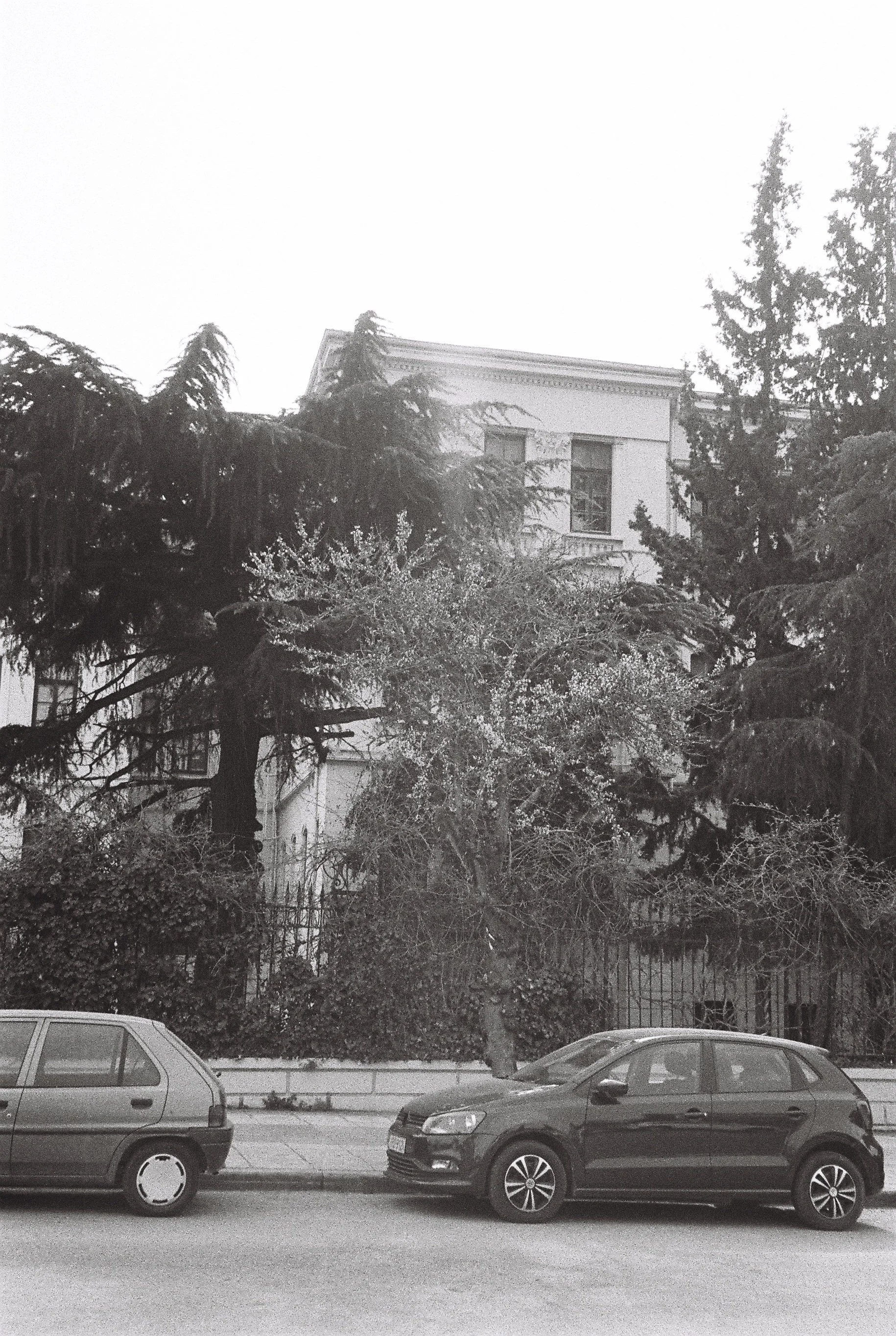 Black and white photo of parked cars on the street in front of a building and trees.
