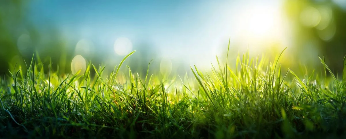 Edwards Environmental Corporation