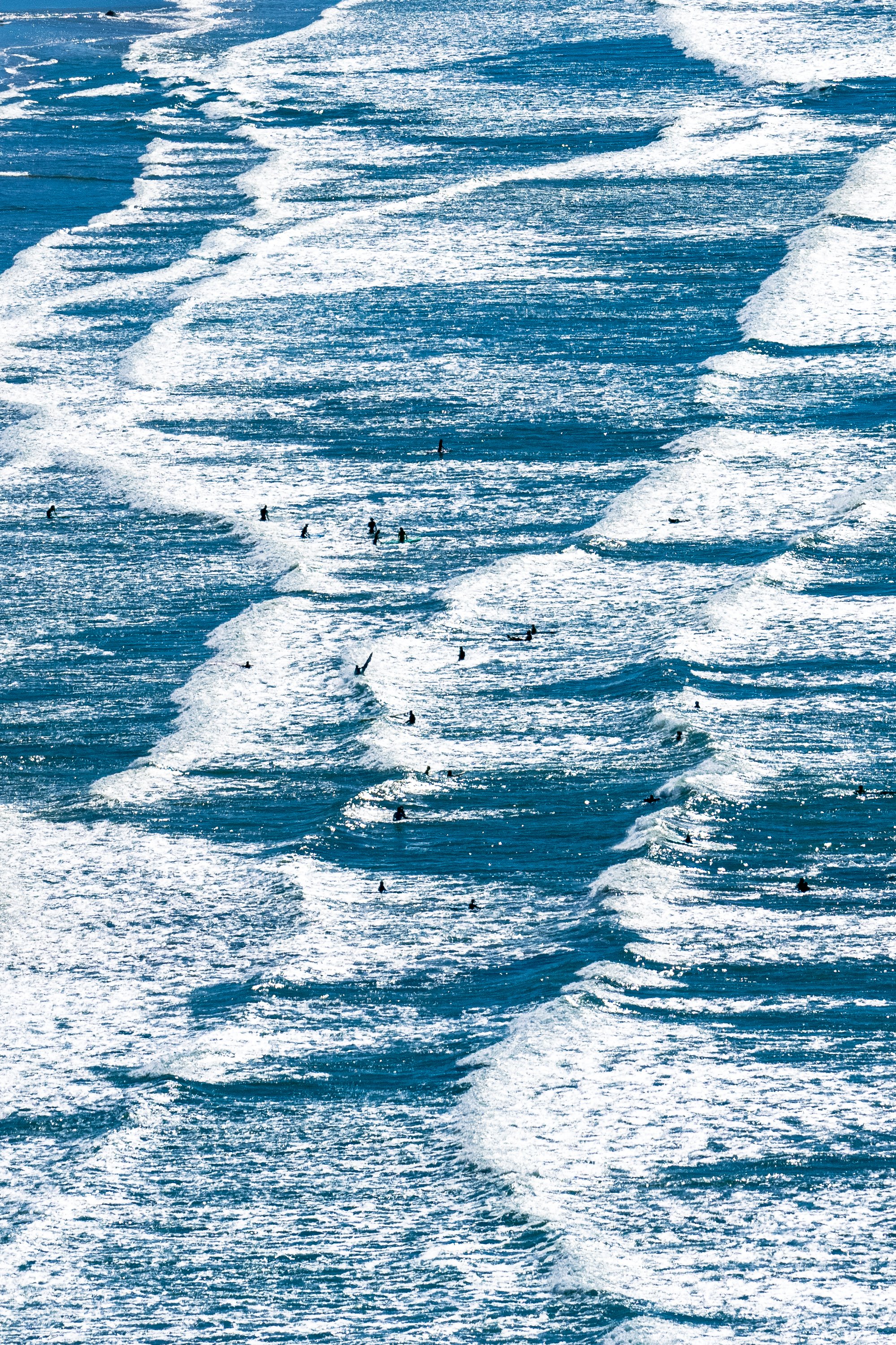 _DSC4266 copy.jpg