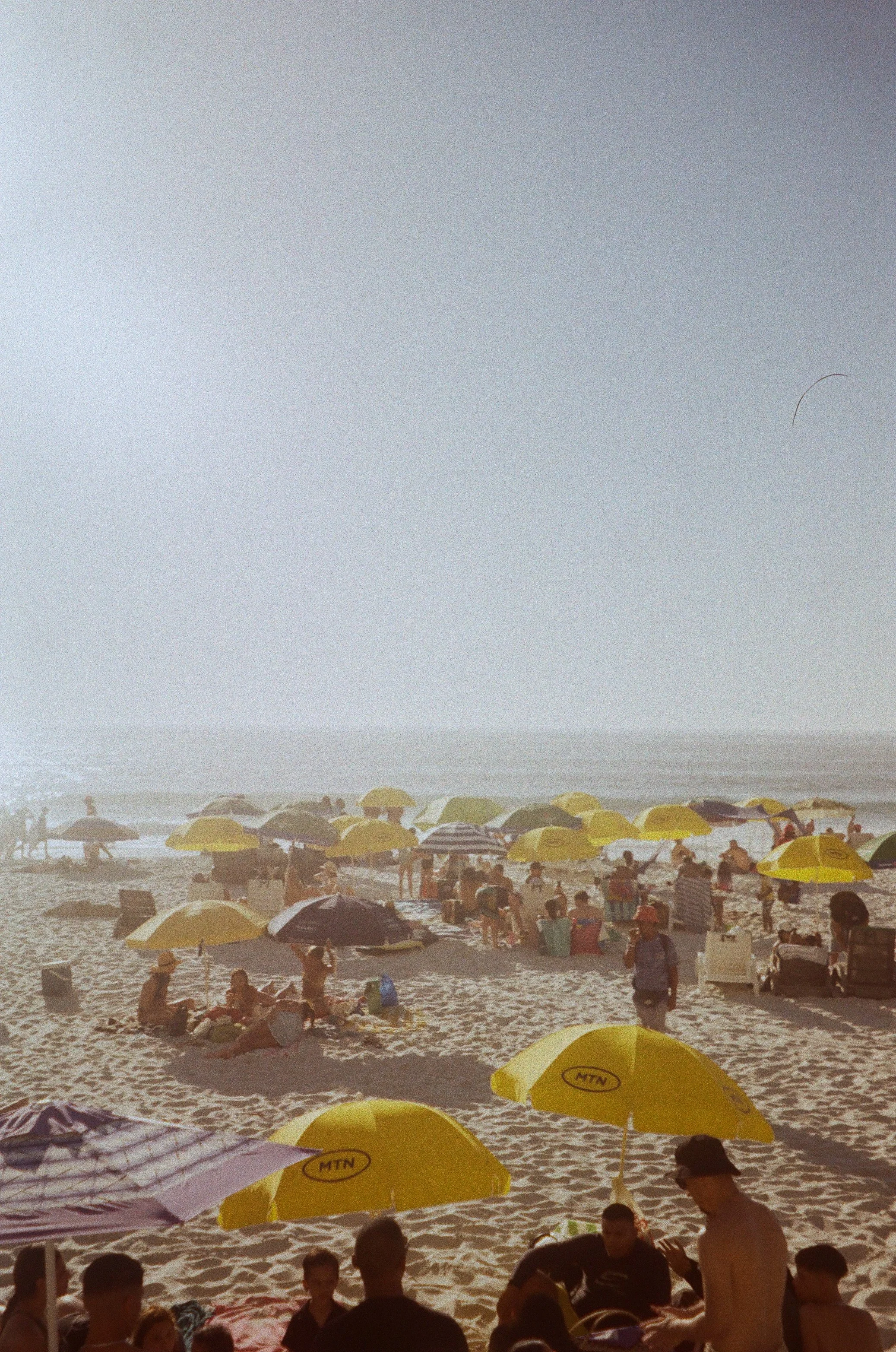 Film - Cape Town Summer