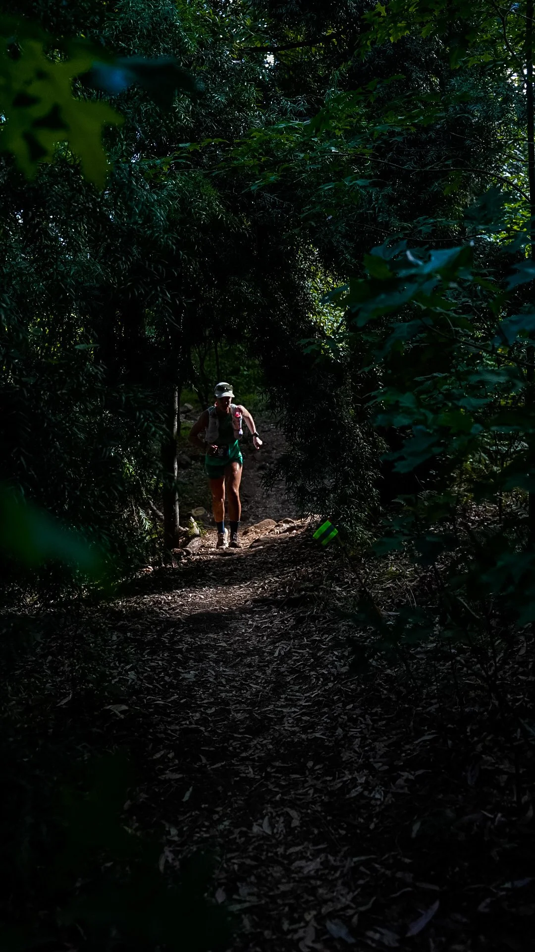 _DSC6450.JPG