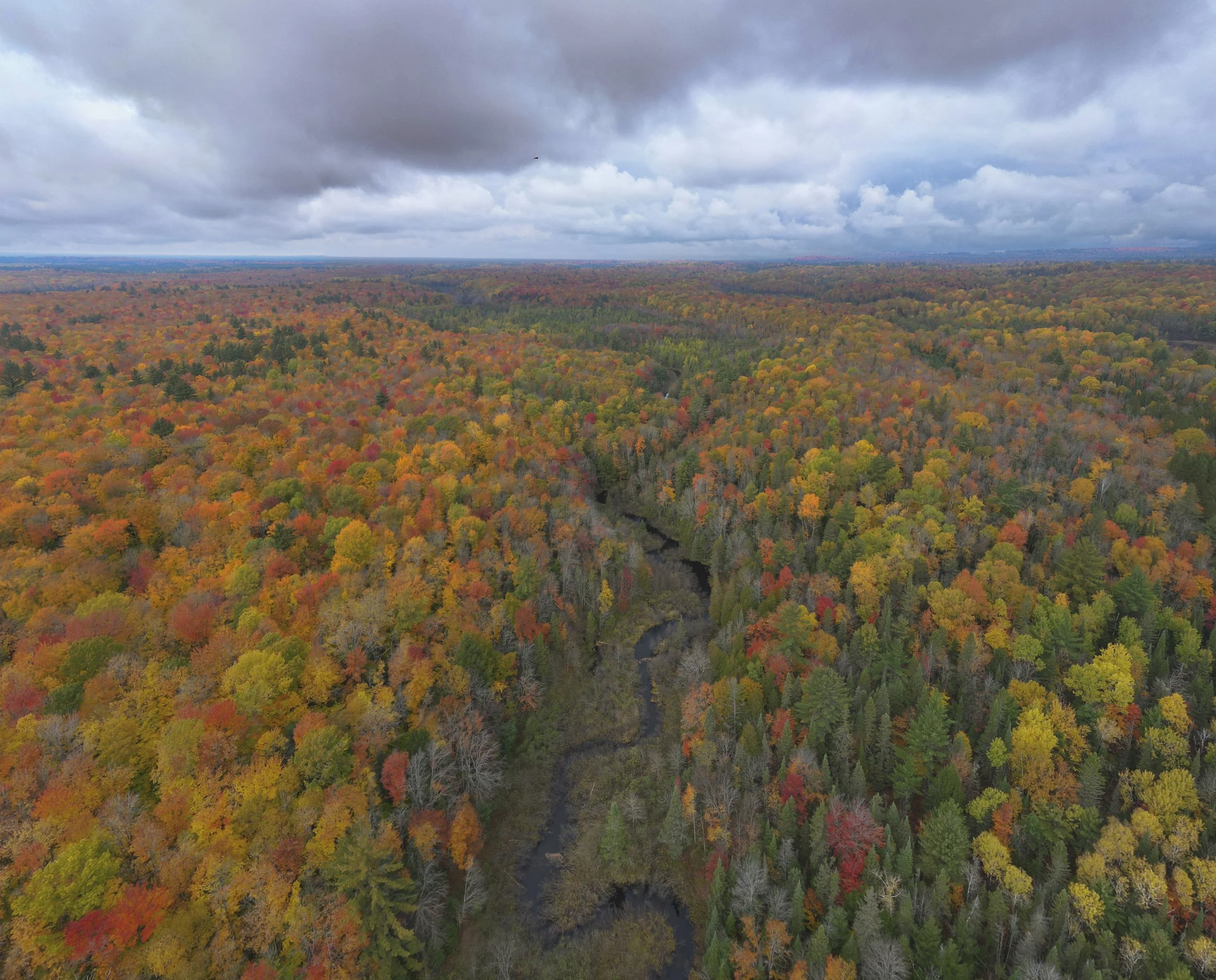 Fall by air.jpg