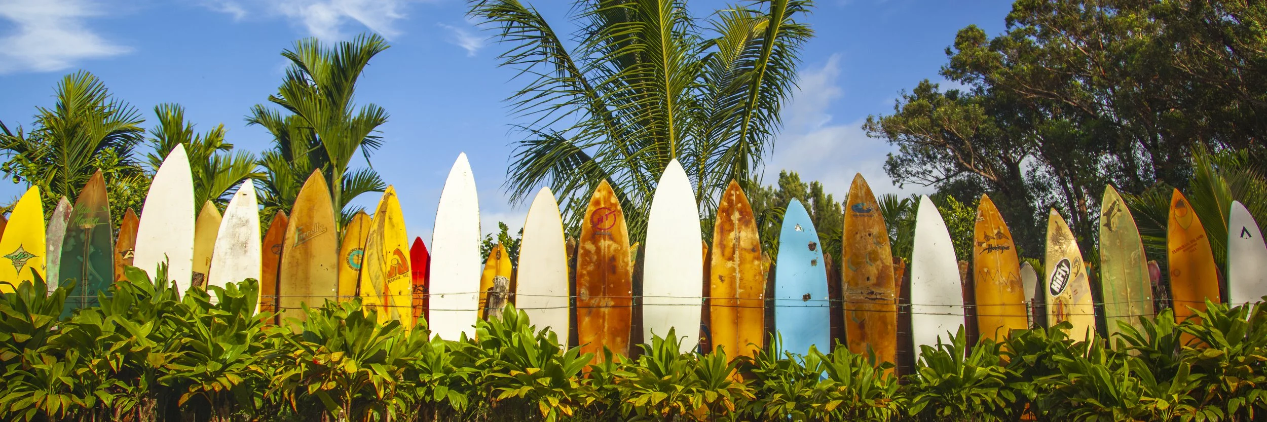 Surfboard Fence Maui-2.jpg