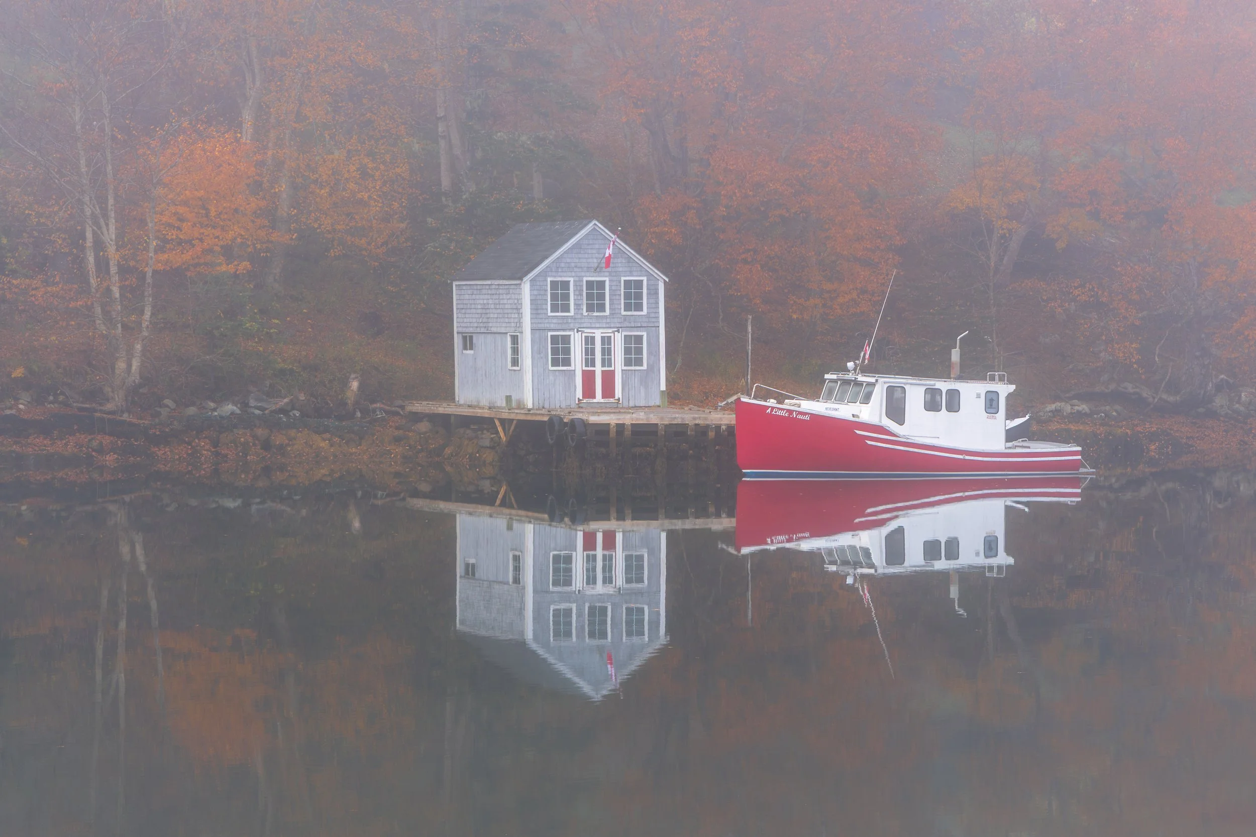 Solitude in fall.jpg