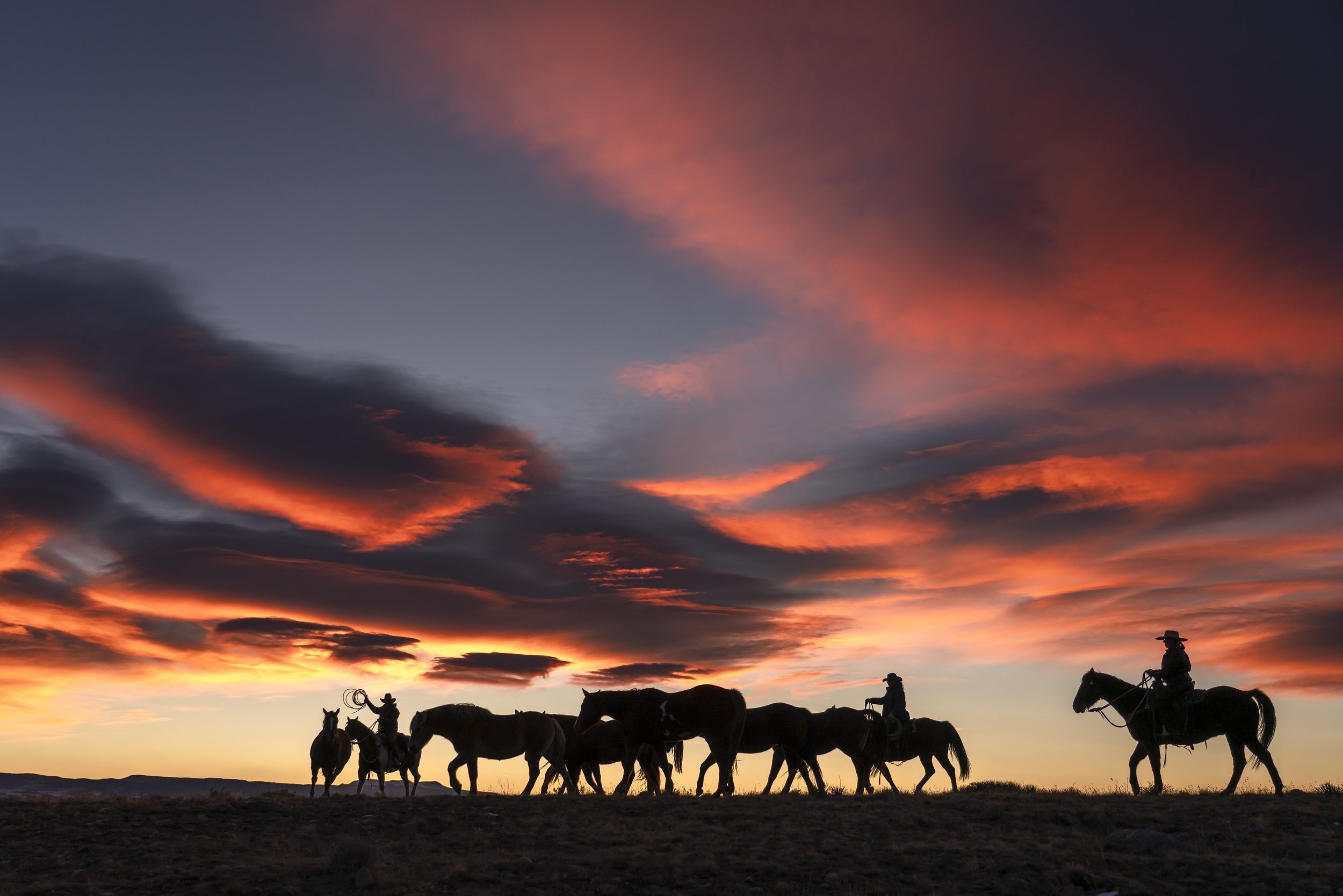 Cowboy morning.jpg