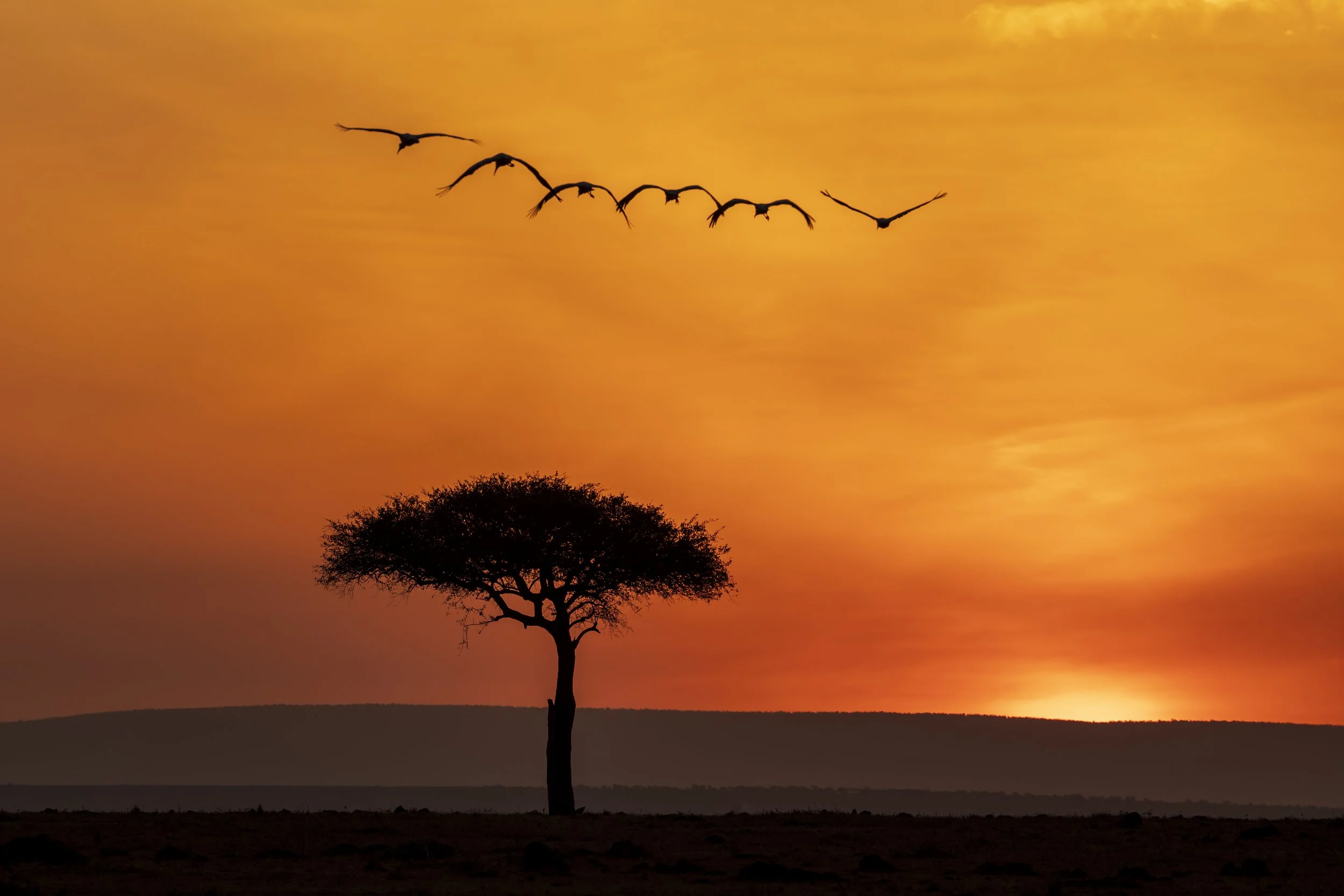 Sunset in Kenya.jpg