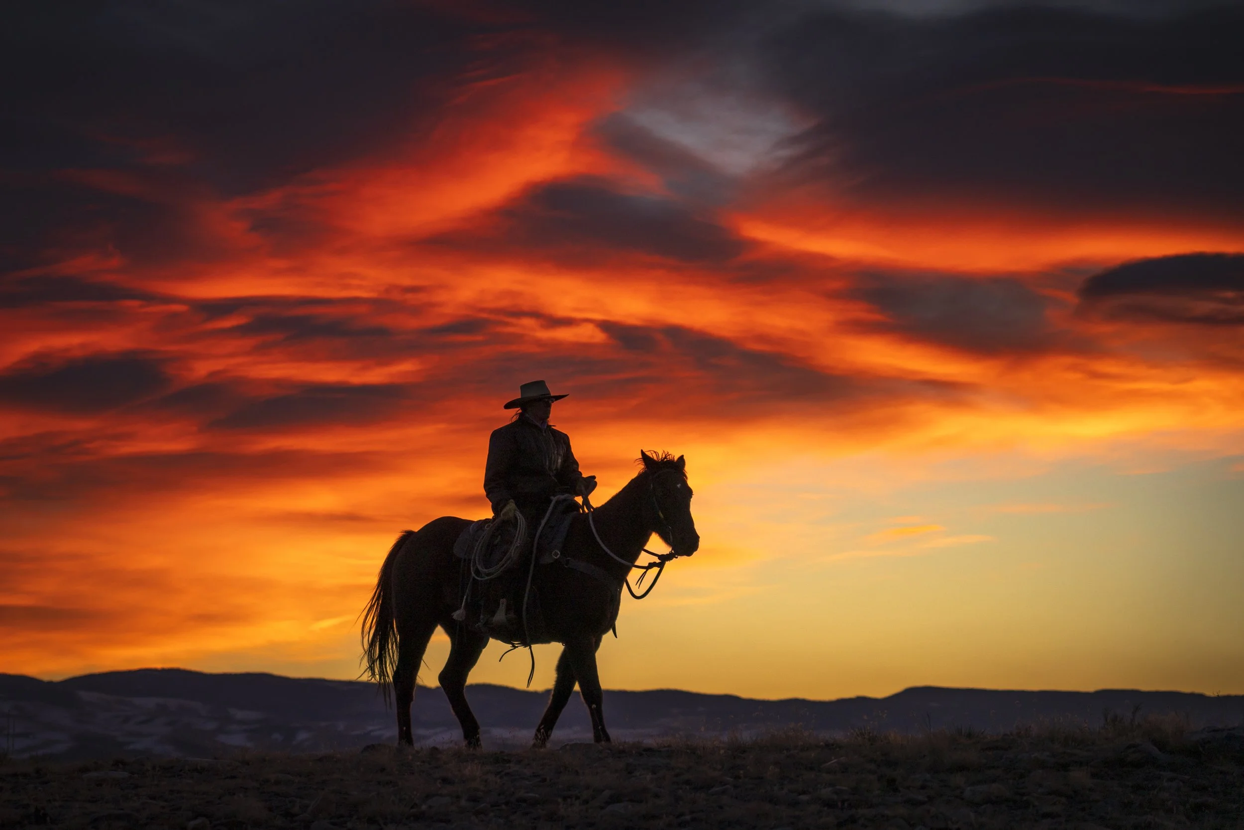 Cowboy morning walk.jpg